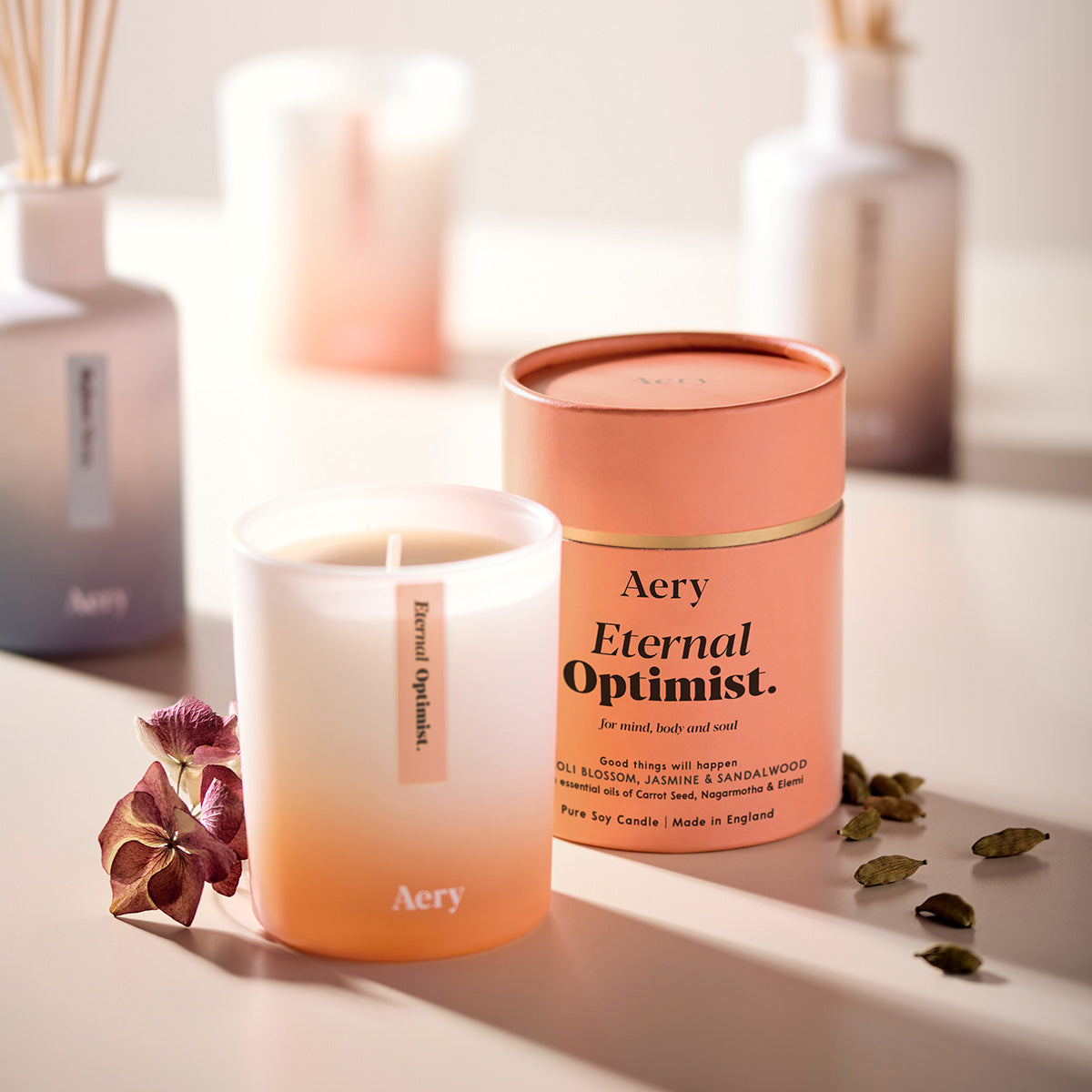 Aery Living Aromatherapy 200g Soy Candle Eternal Optimist
