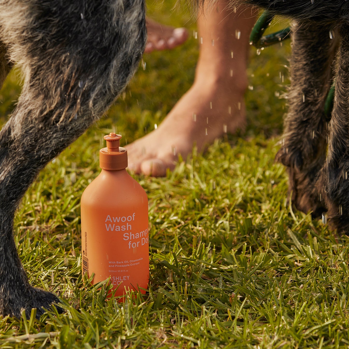 Ashley & Co Awoof Wash 500ml Doug Dug & Dug Dog Wash Dog Wash