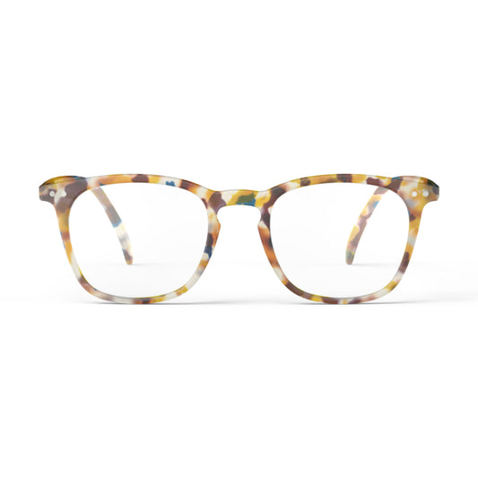 Reading Collection E Blue Tortoise