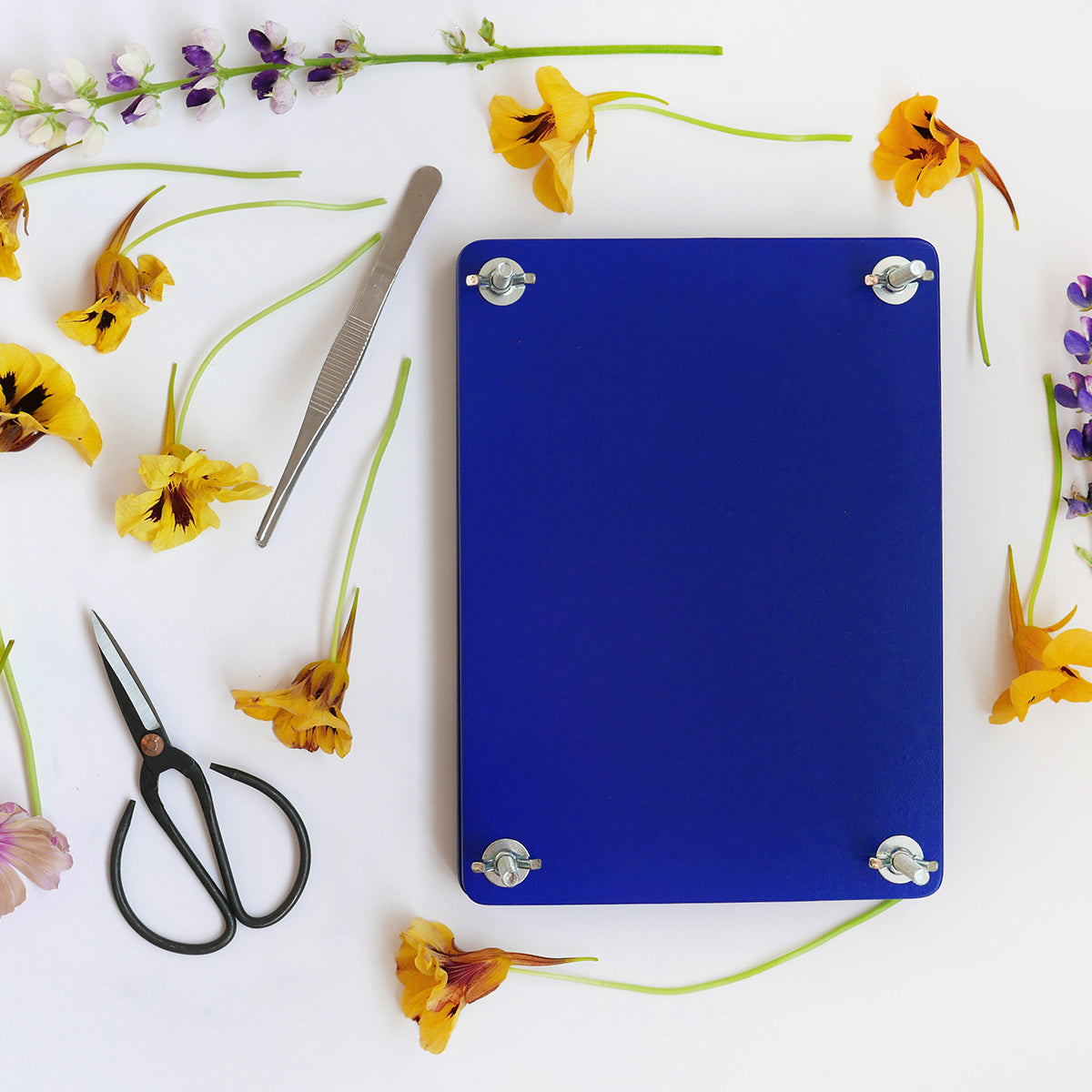 Printworks Flower Press Kit