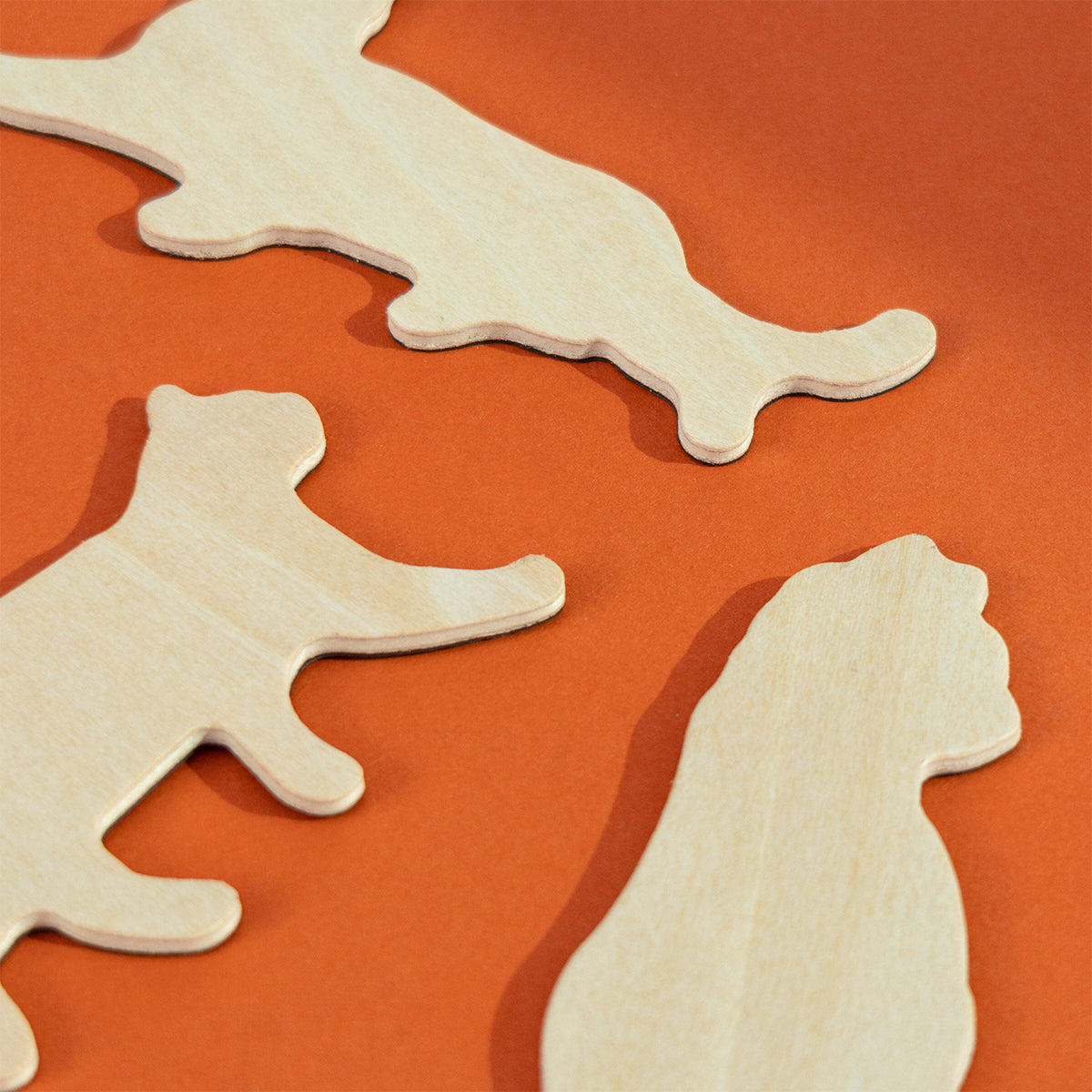 Suck UK Fridge Magnets Cats