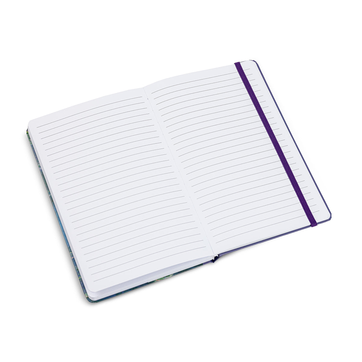 Today Is Art Day Journal Claude Monet Water Lilies