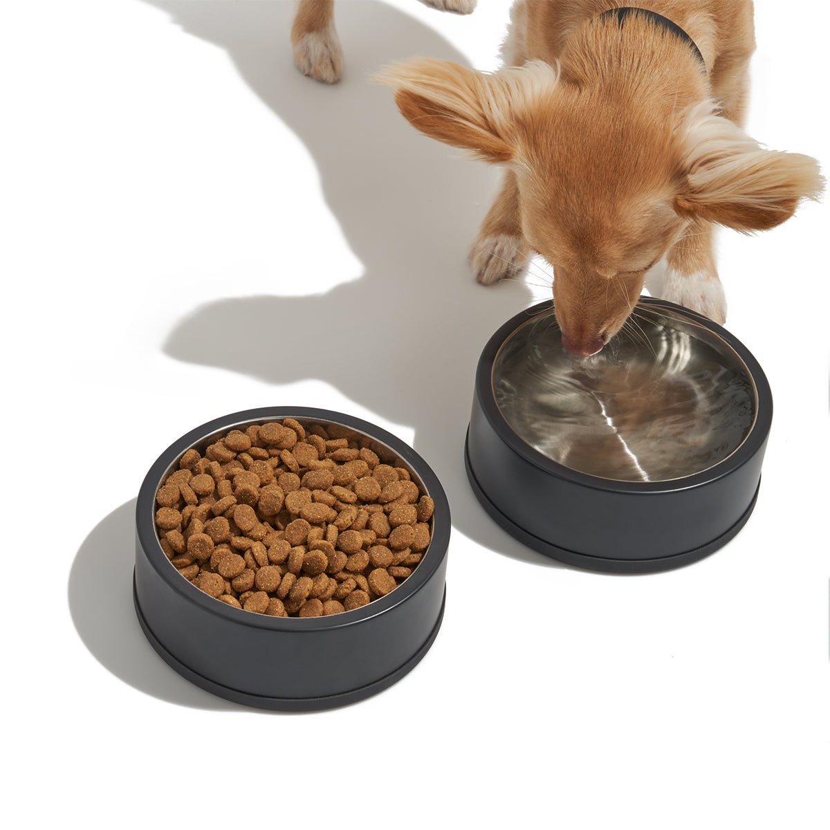 Wild One Dog Bowl Small Black