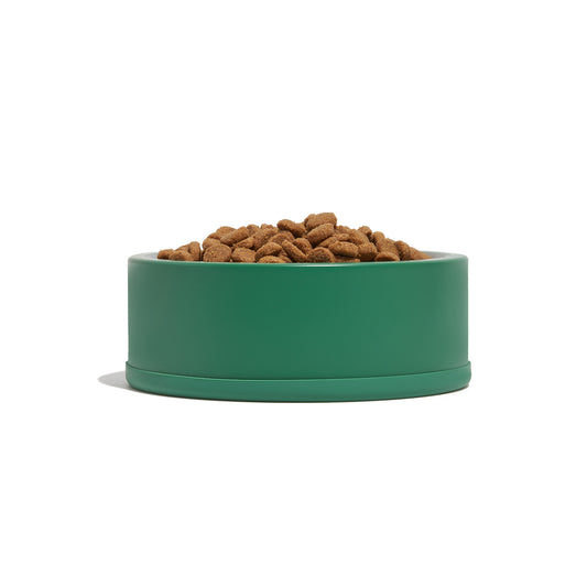 Wild One Dog Bowl Small Spruce