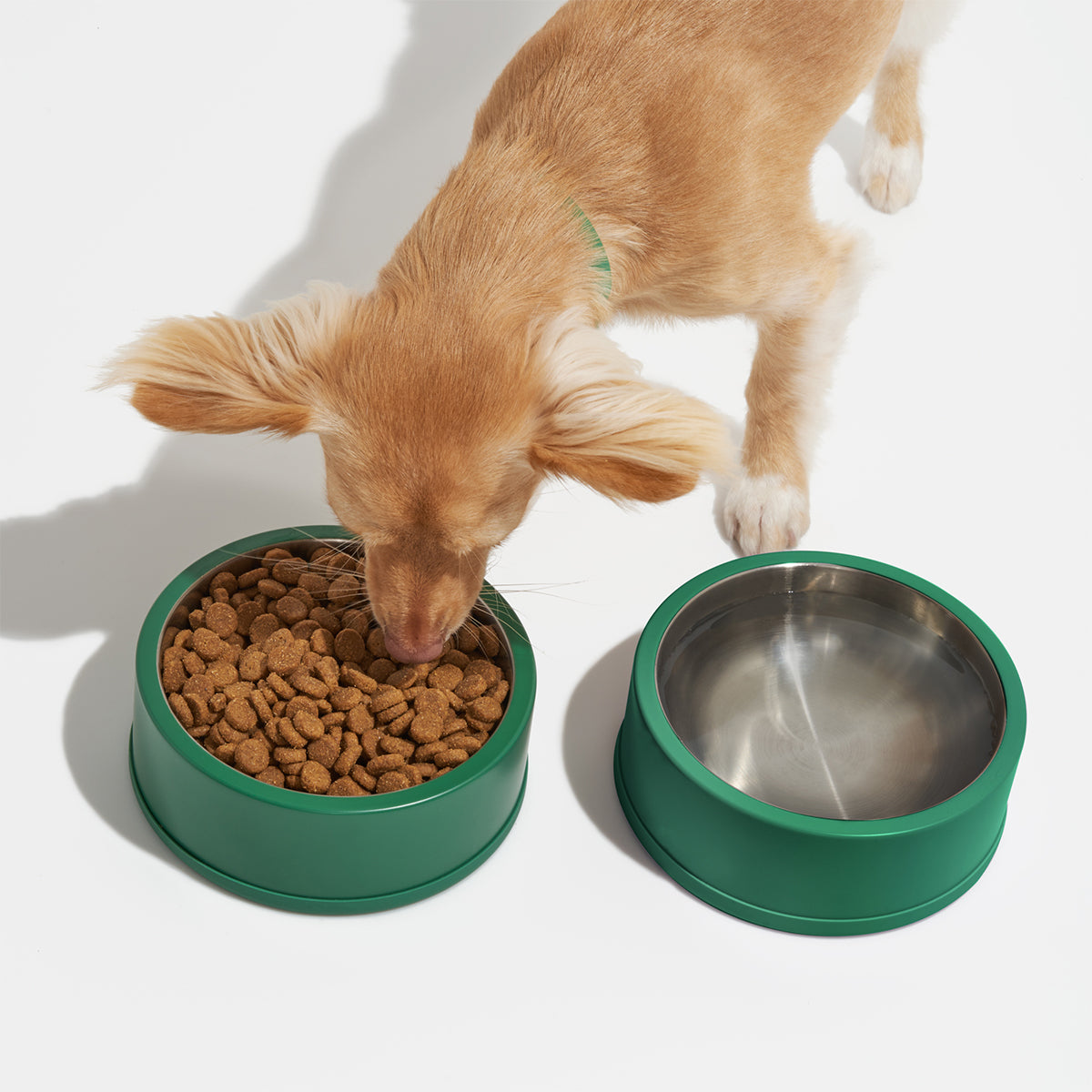 Wild One Dog Bowl Small Spruce
