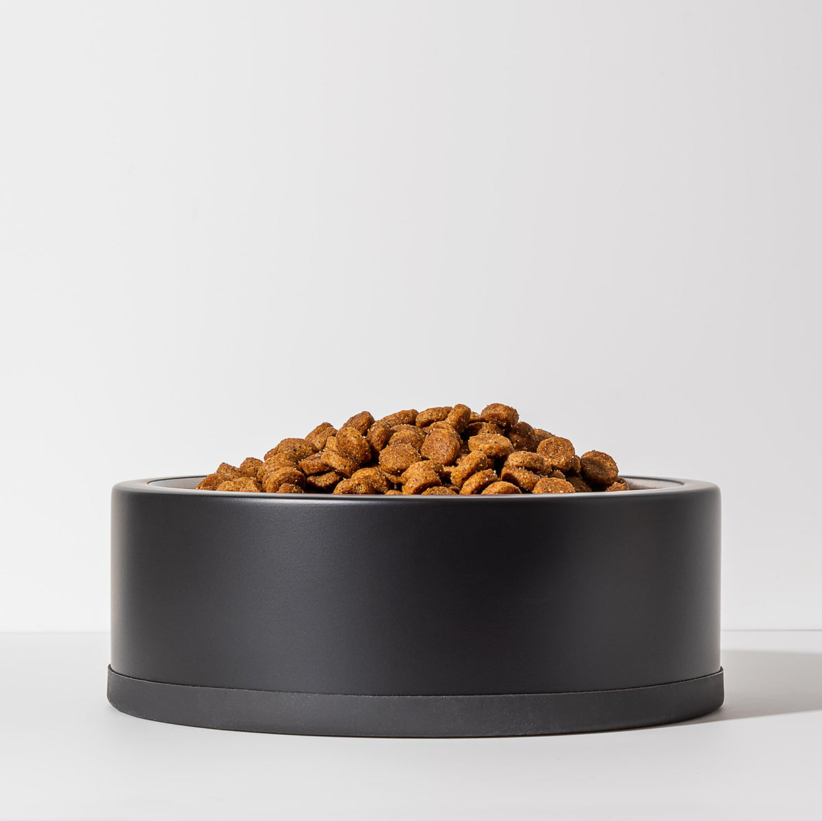Wild One Dog Bowl Black