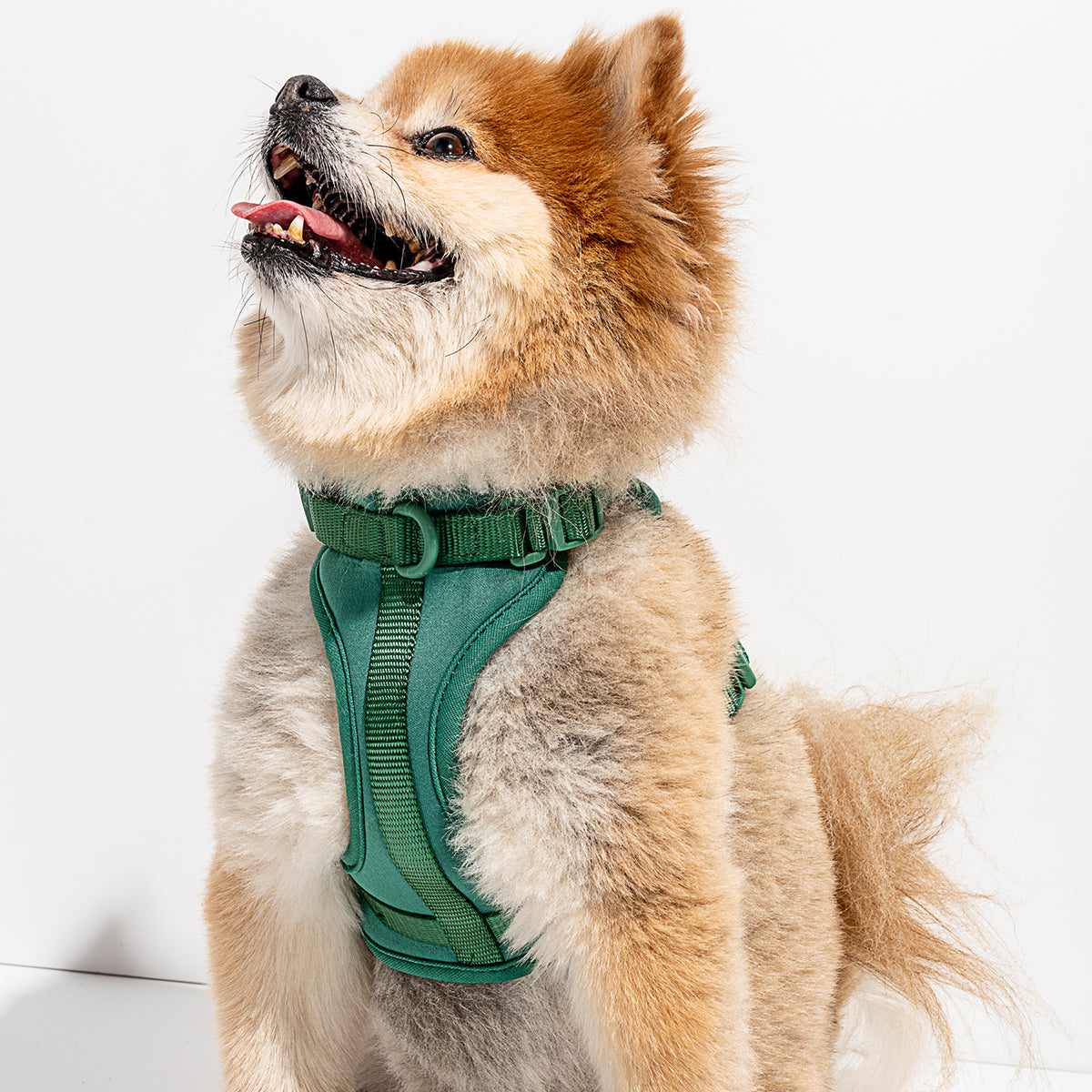 Wild One Dog Harness Medium Spruce