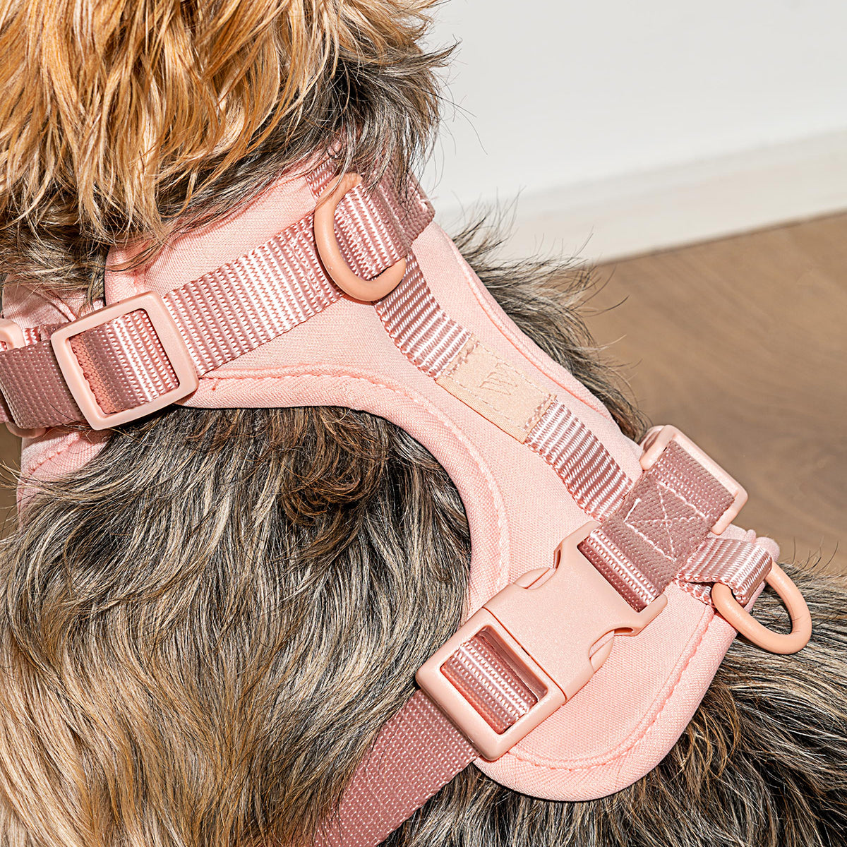 Wild One Dog Harness Small Blush