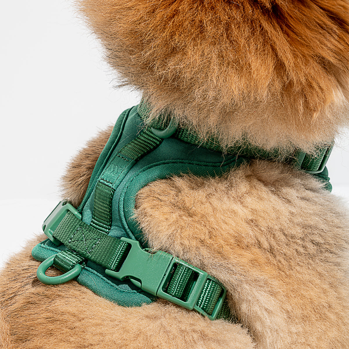 Wild One Dog Harness Small Spruce
