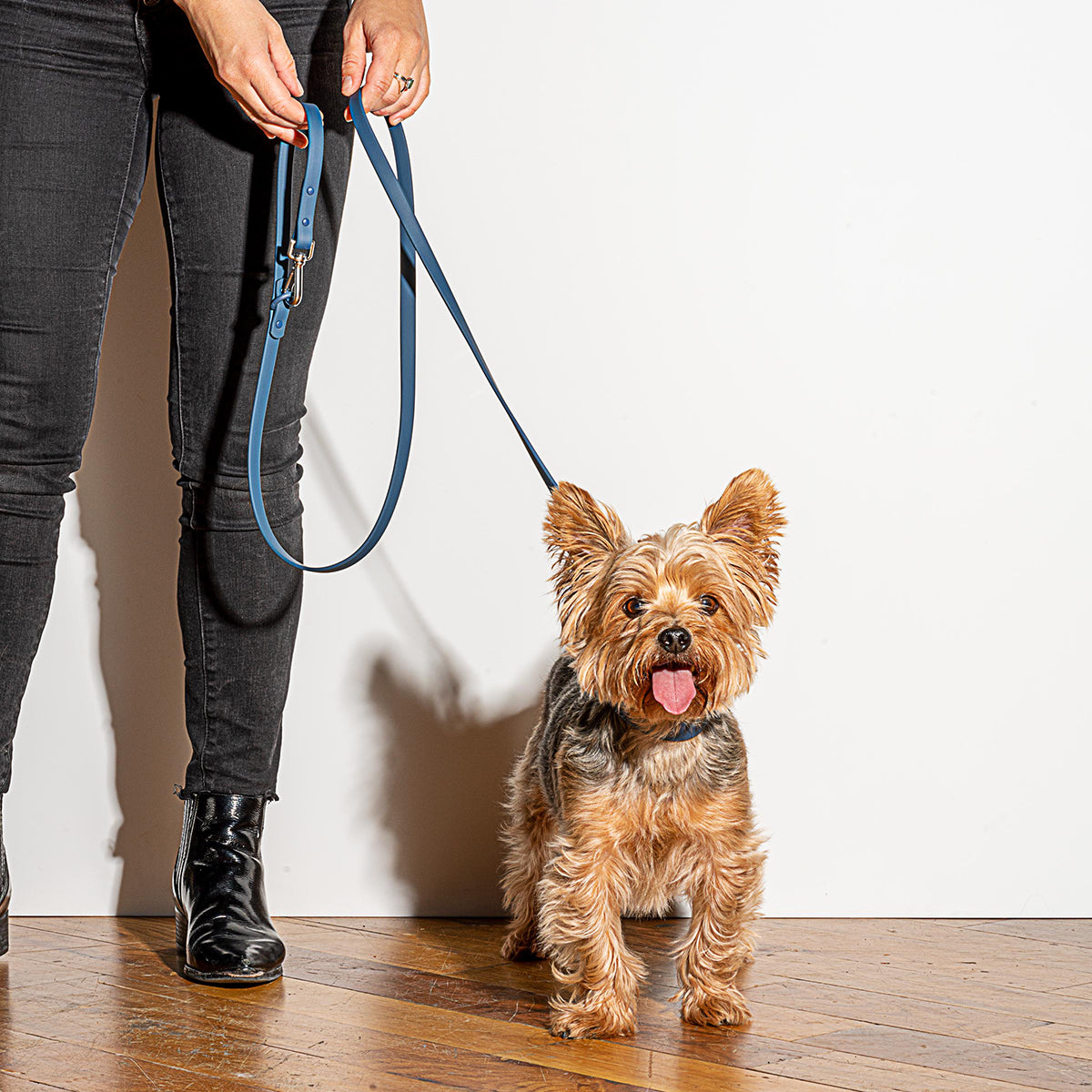 Wild One Dog Leash Standard Navy