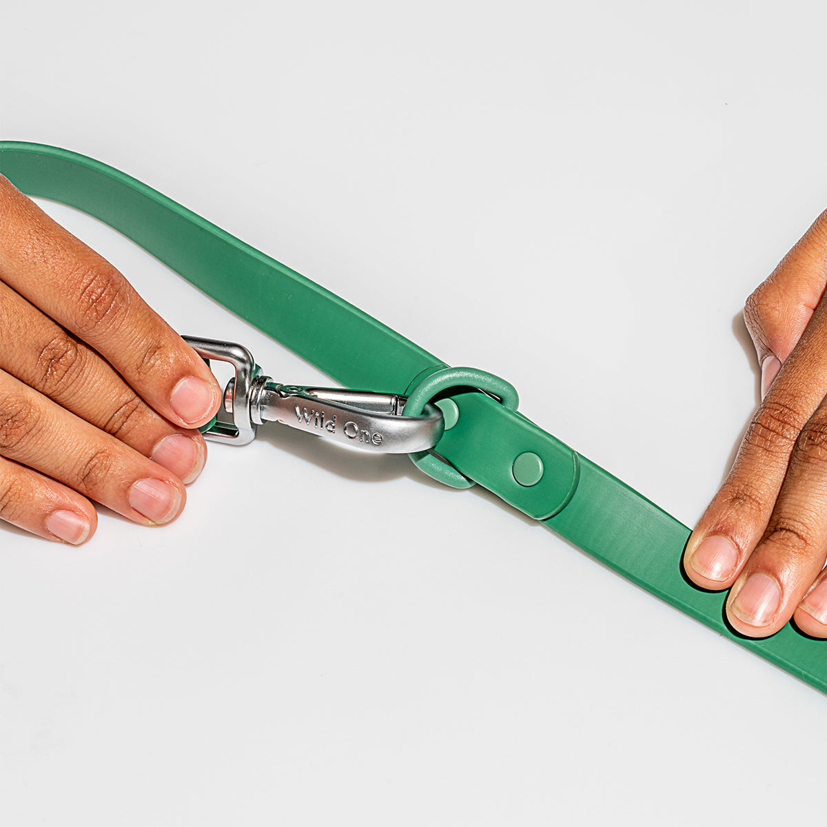 Wild One Dog Leash Standard Spruce