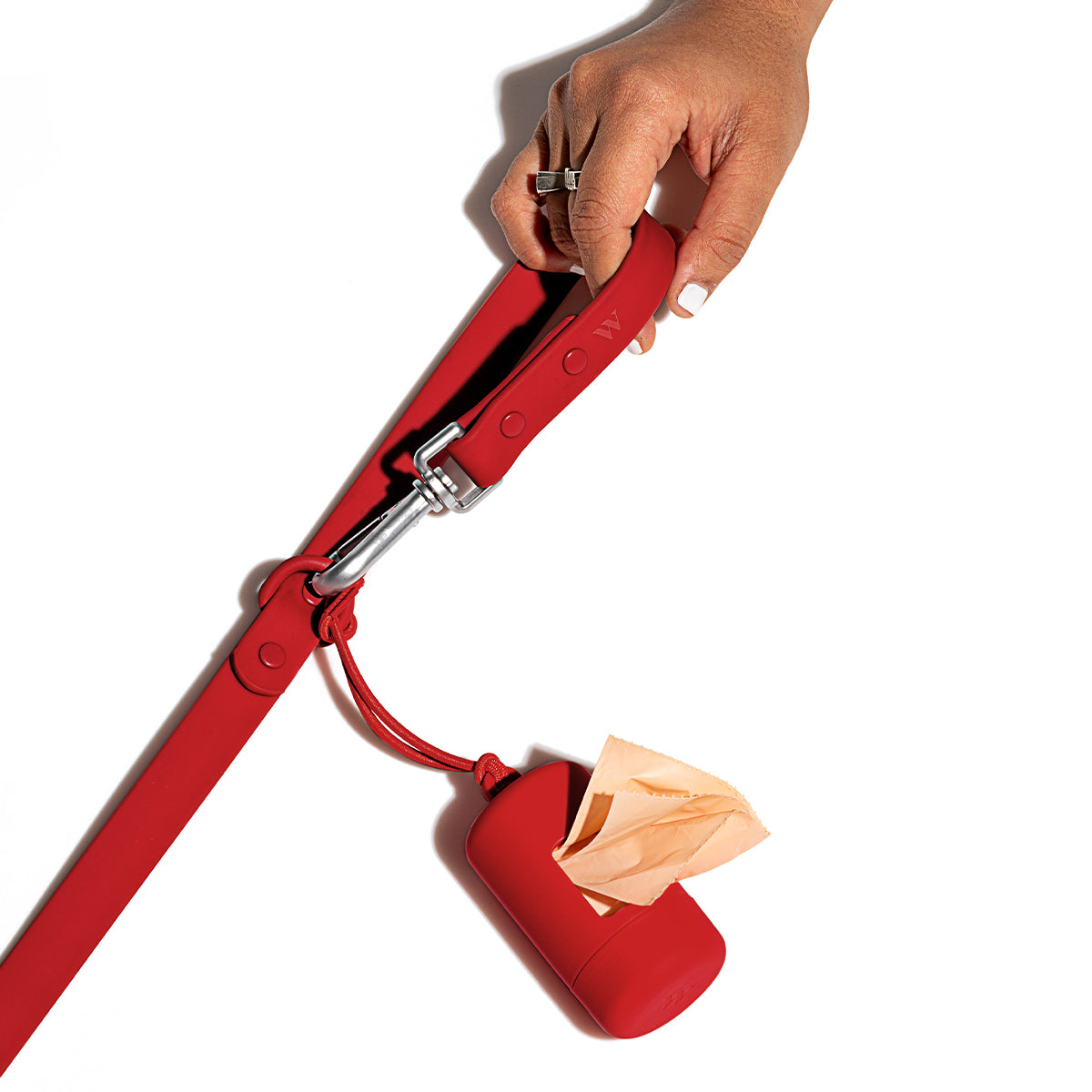 Wild One Dog Leash Standard Strawberry
