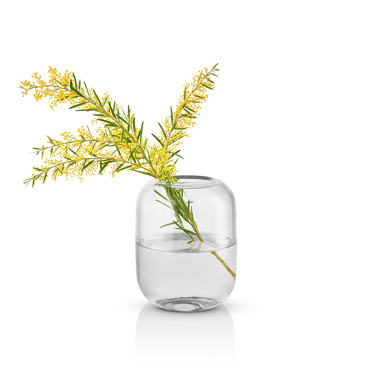 Eva Solo Acorn Vase 16.5cm Clear
