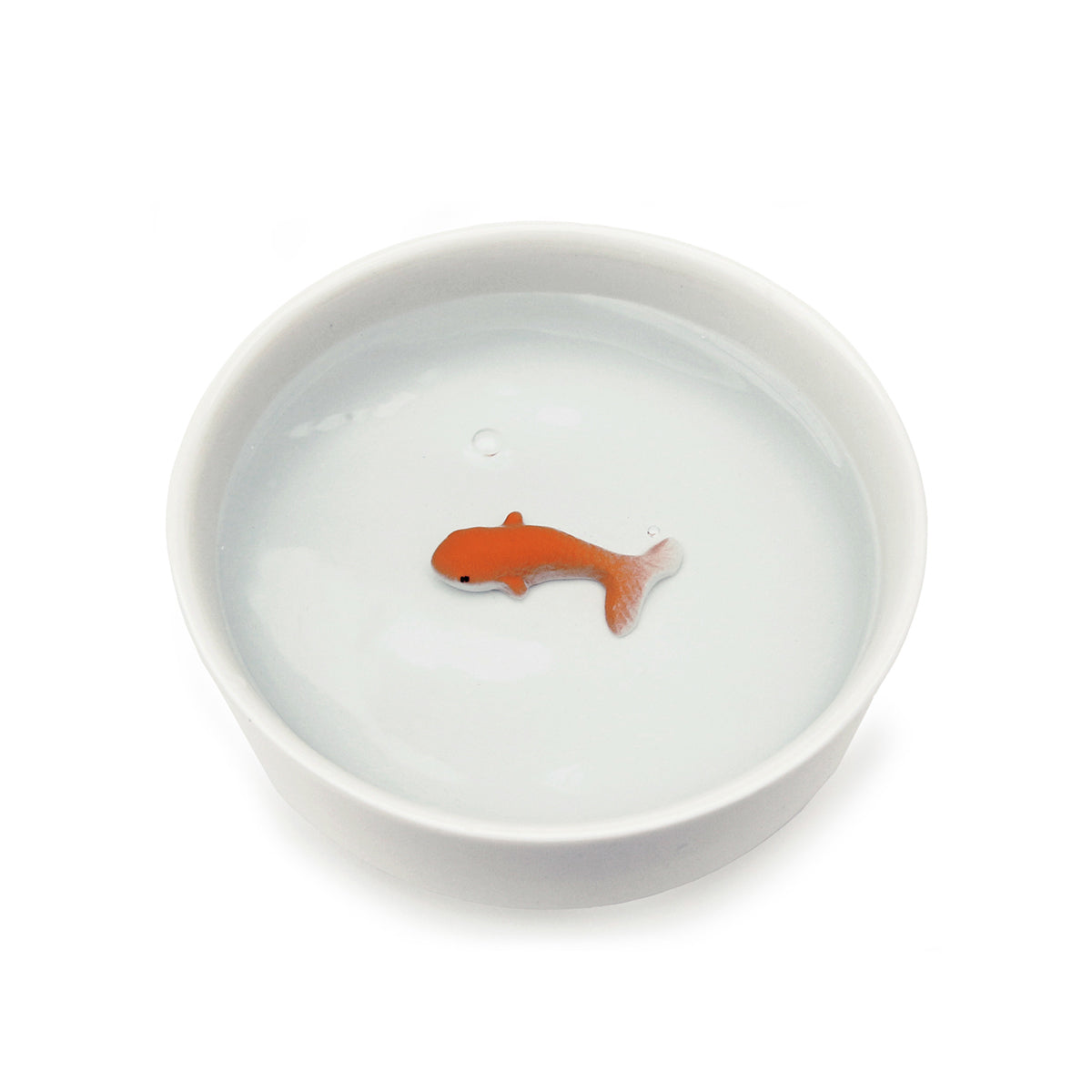 Cat Bowl Goldfish