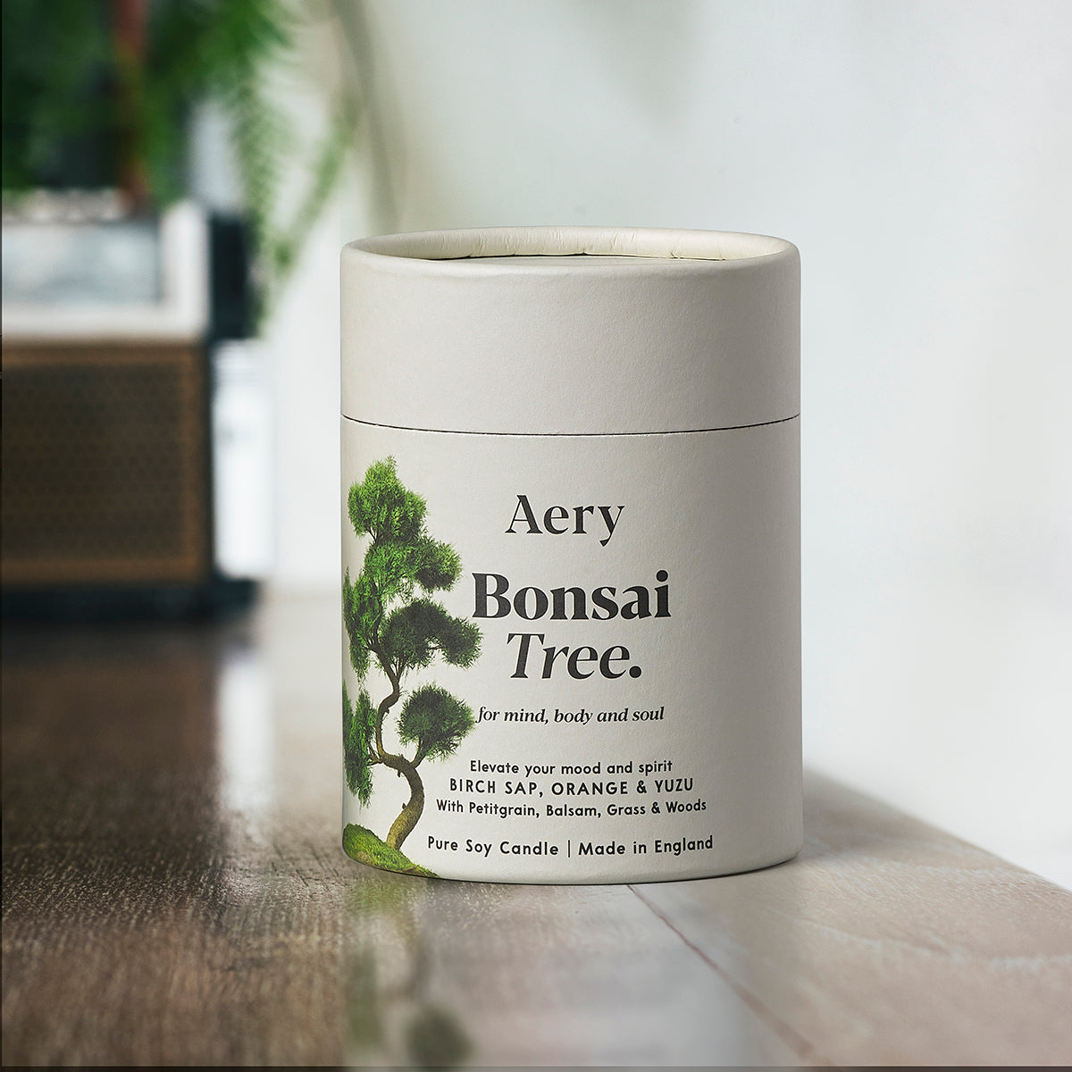 Aery Living Botanical 200g Soy Candle Bonsai Tree