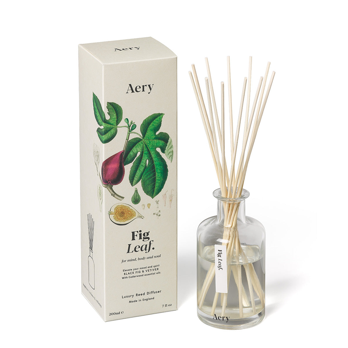 Botanical 200ml Reed Diffuser Fig Leaf