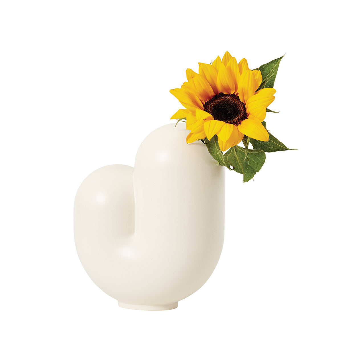 Kirby Vase Jay