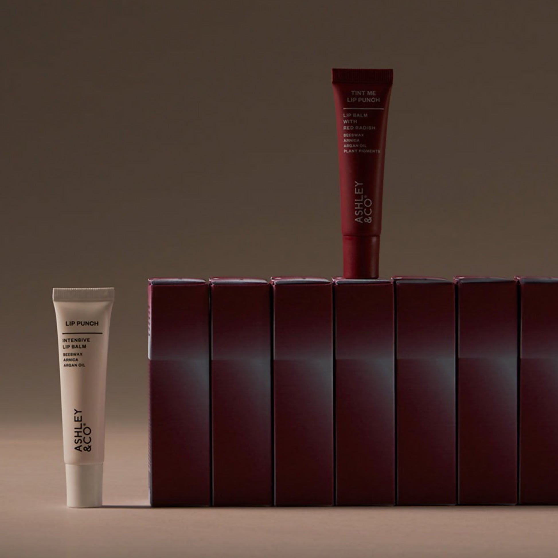 Ashley & Co Christmas Twice as Lippy
