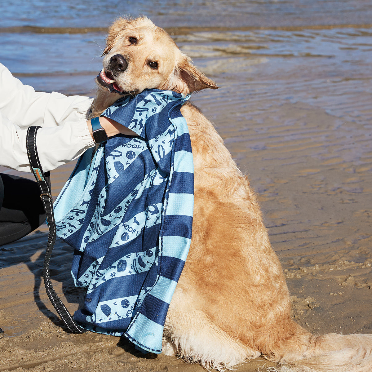 Dog Towel L Bark Blue