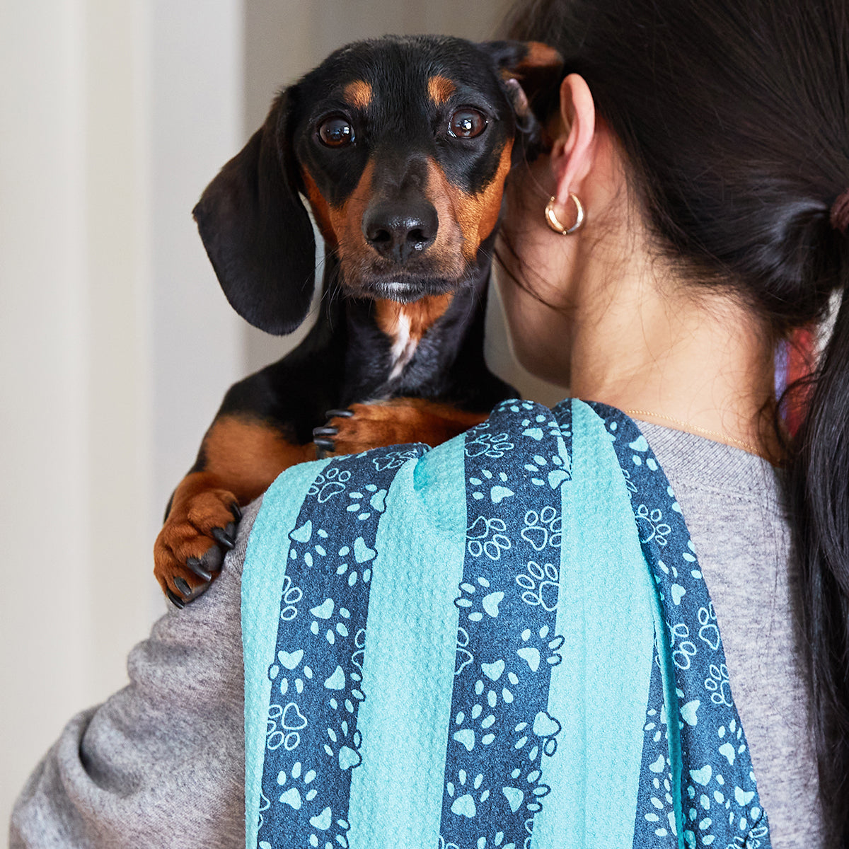 Dog Towel L Bark Blue