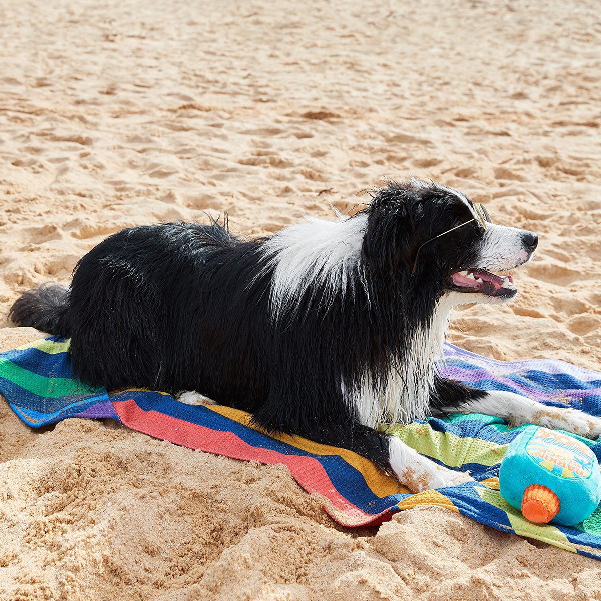 Dog Towel L Pups with Pride