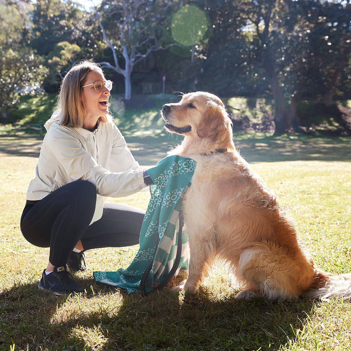 Dog Towel L Woofs Go Wild