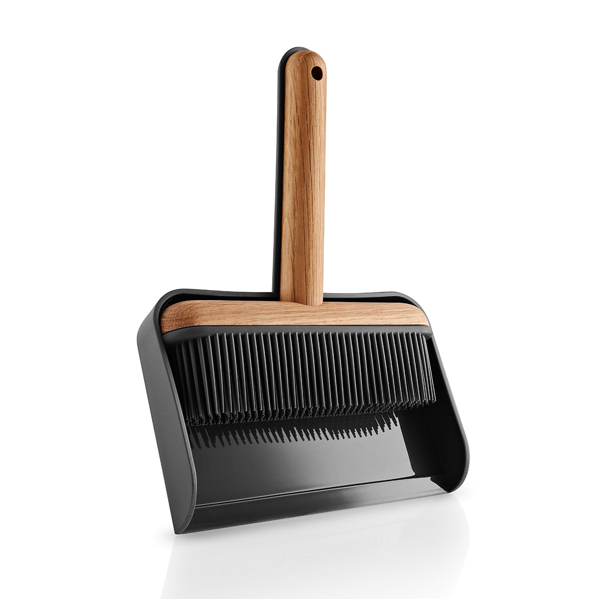 Dustpan and Brush Set