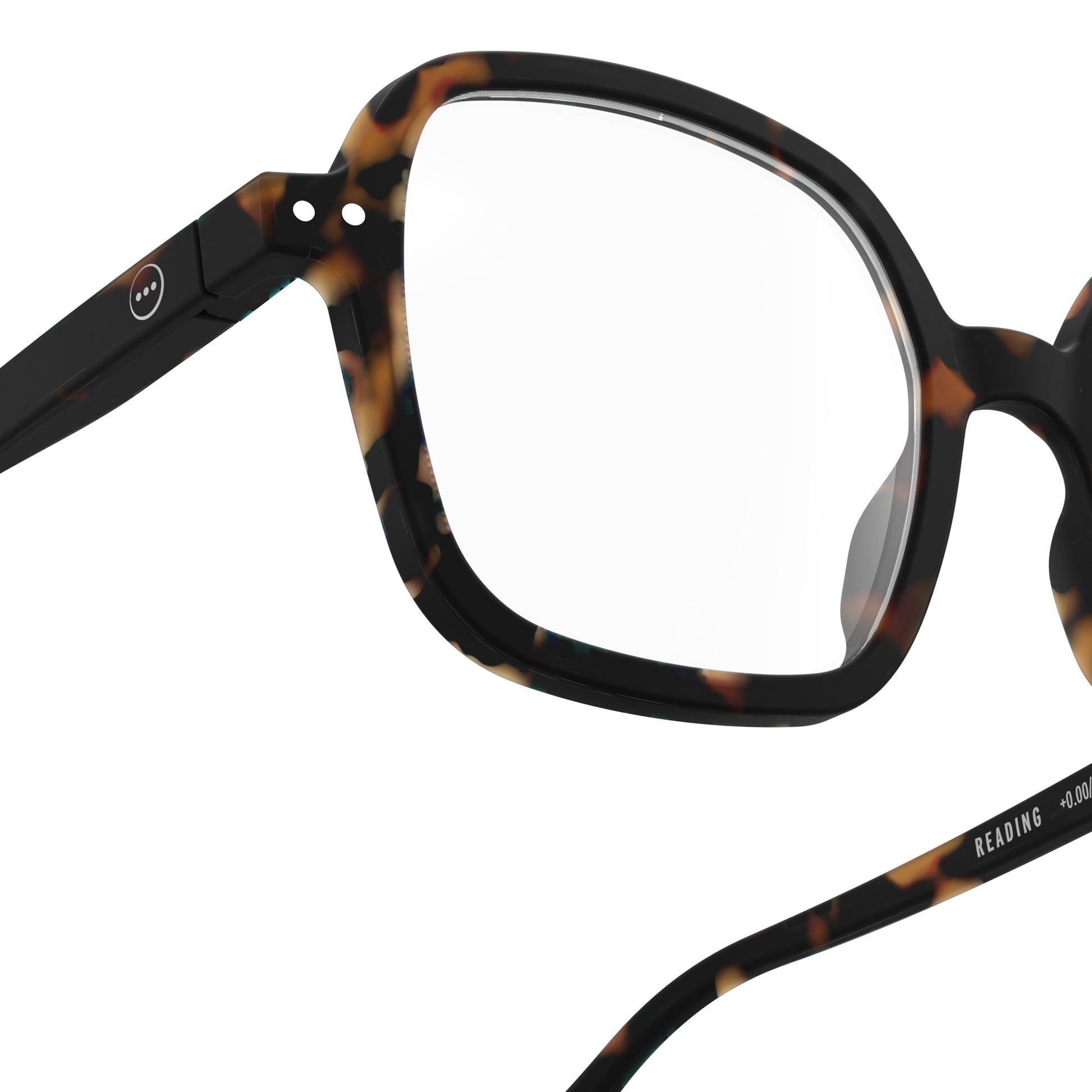 IZIPIZI Reading Collection O Tortoise