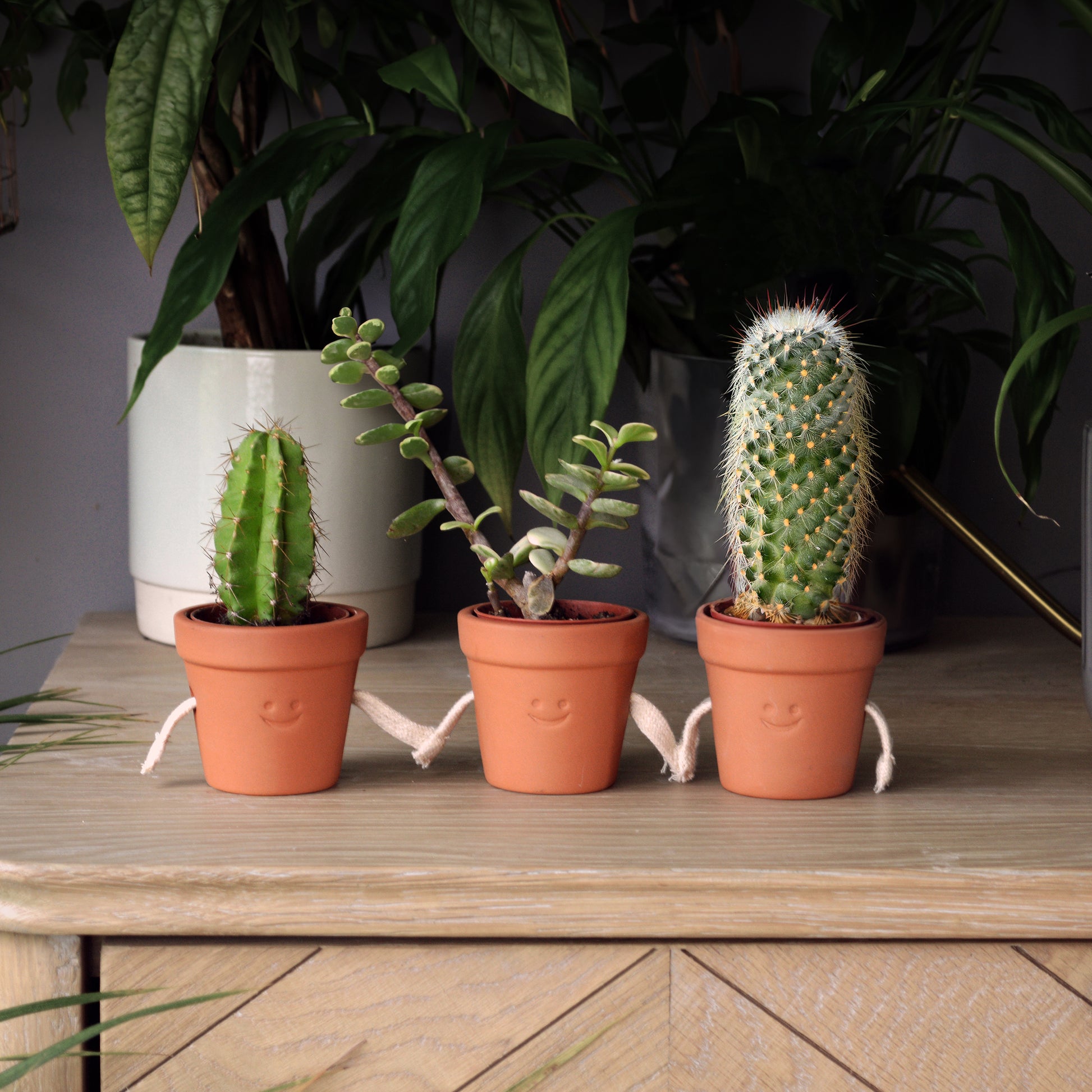 Pikkii Hand Holding Succulent Pots (set of 3)
