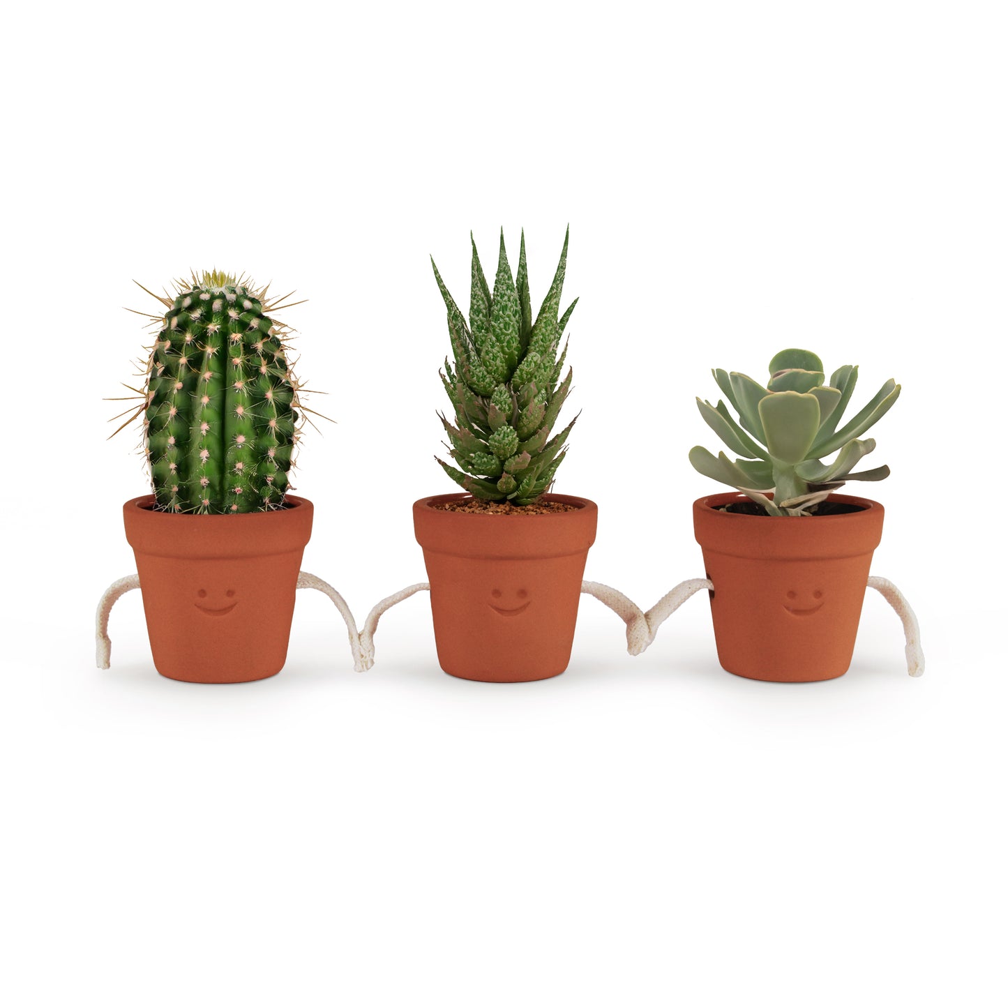 Pikkii Hand Holding Succulent Pots (set of 3)