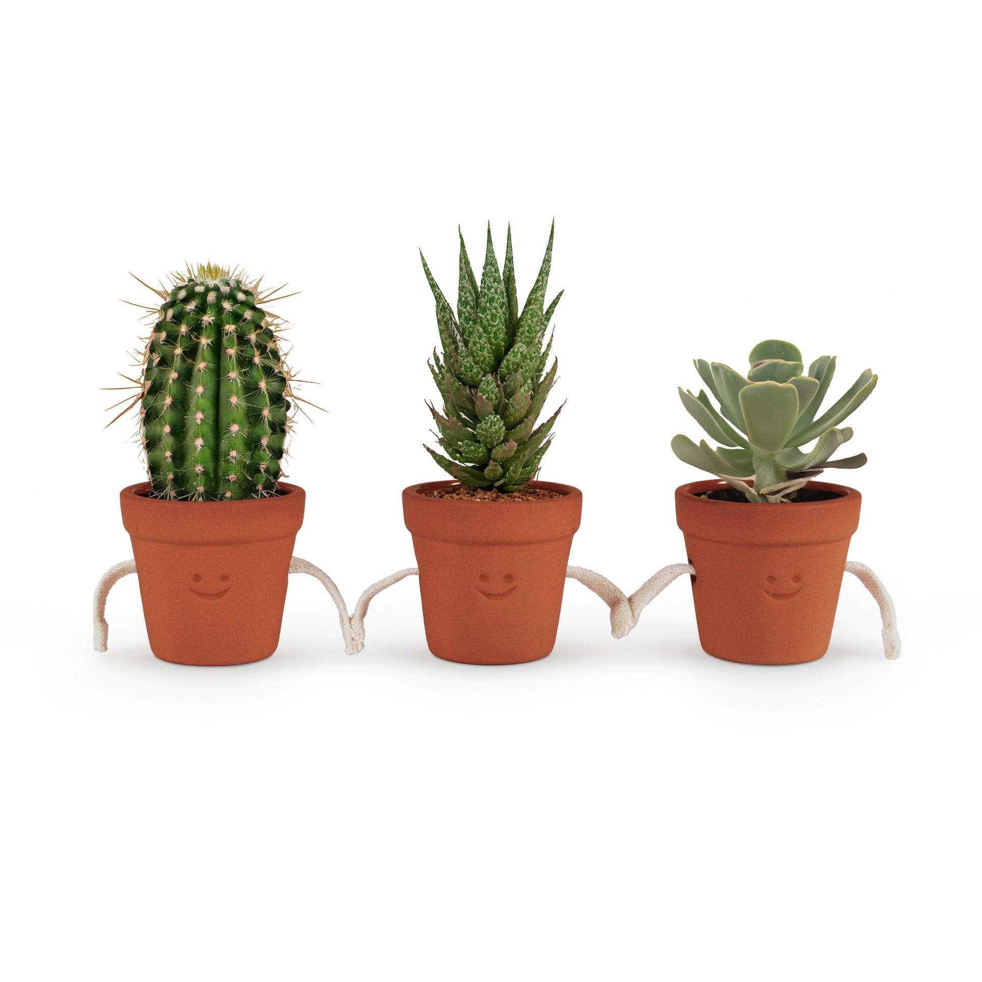 Pikkii Hand Holding Succulent Pots (set of 3)