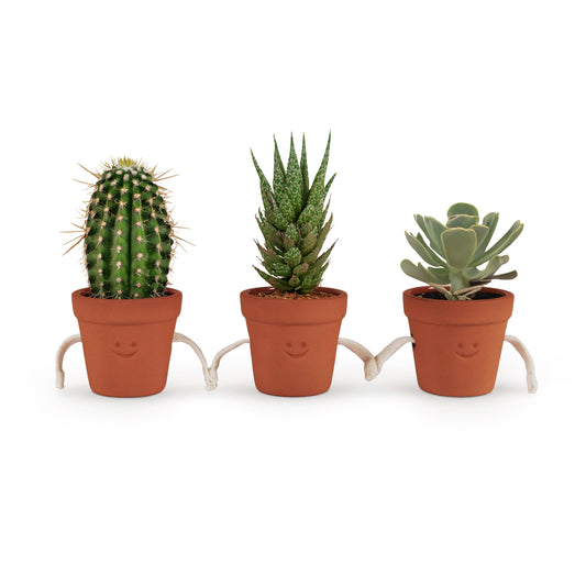 Pikkii Hand Holding Succulent Pots (set of 3)