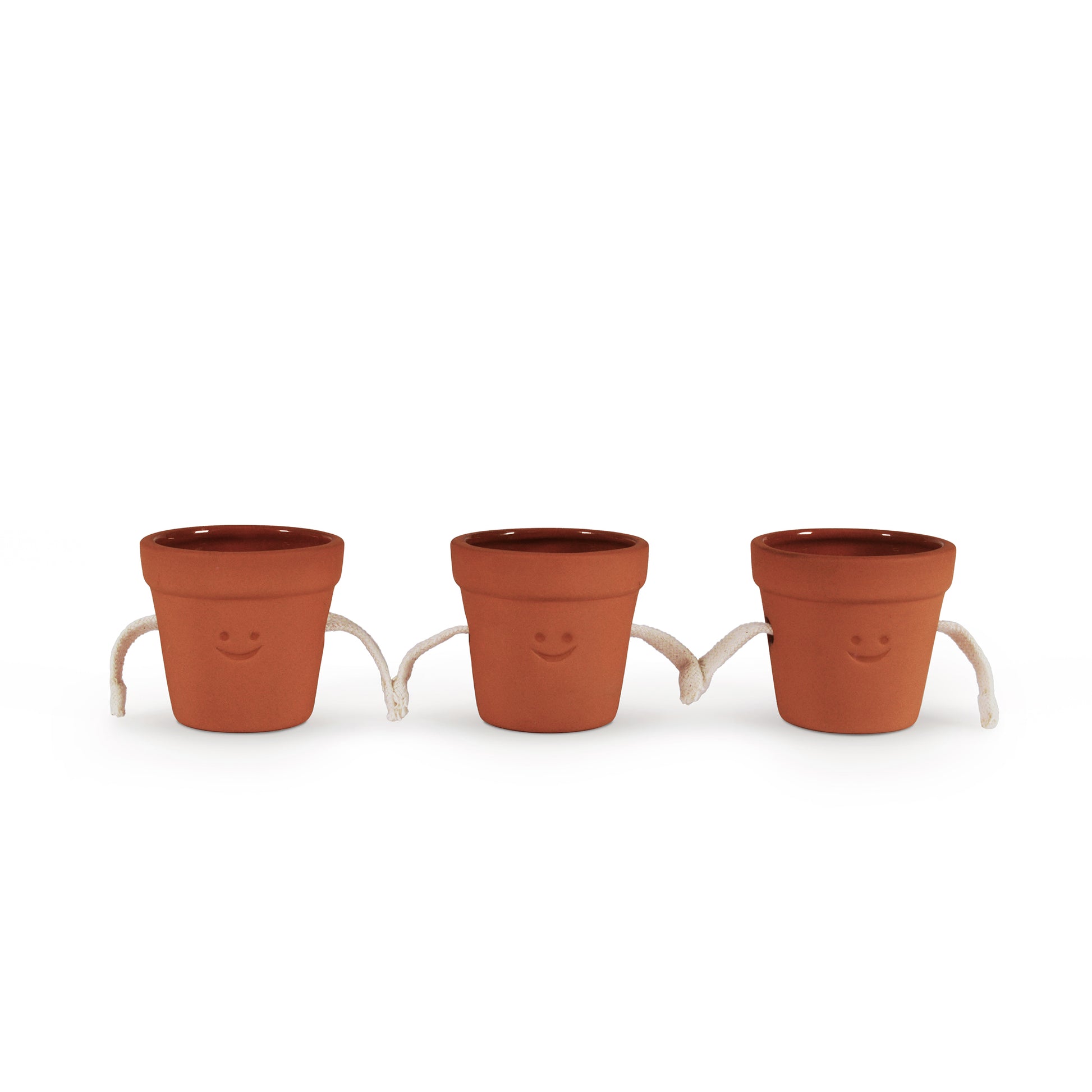 Pikkii Hand Holding Succulent Pots (set of 3)