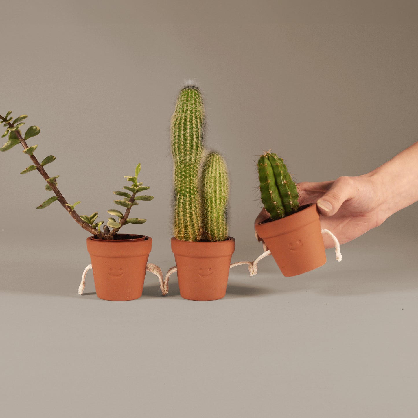 Pikkii Hand Holding Succulent Pots (set of 3)