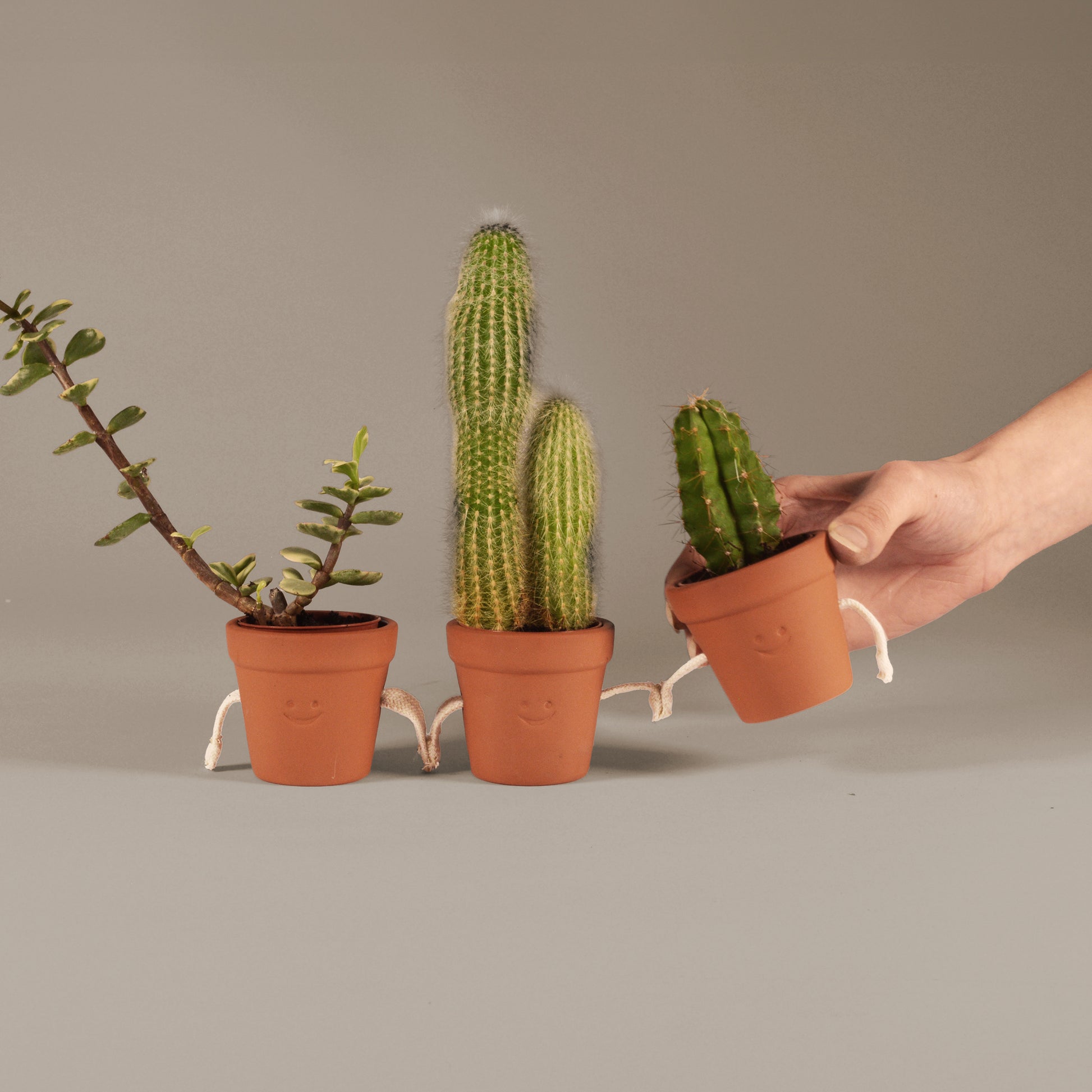 Pikkii Hand Holding Succulent Pots (set of 3)