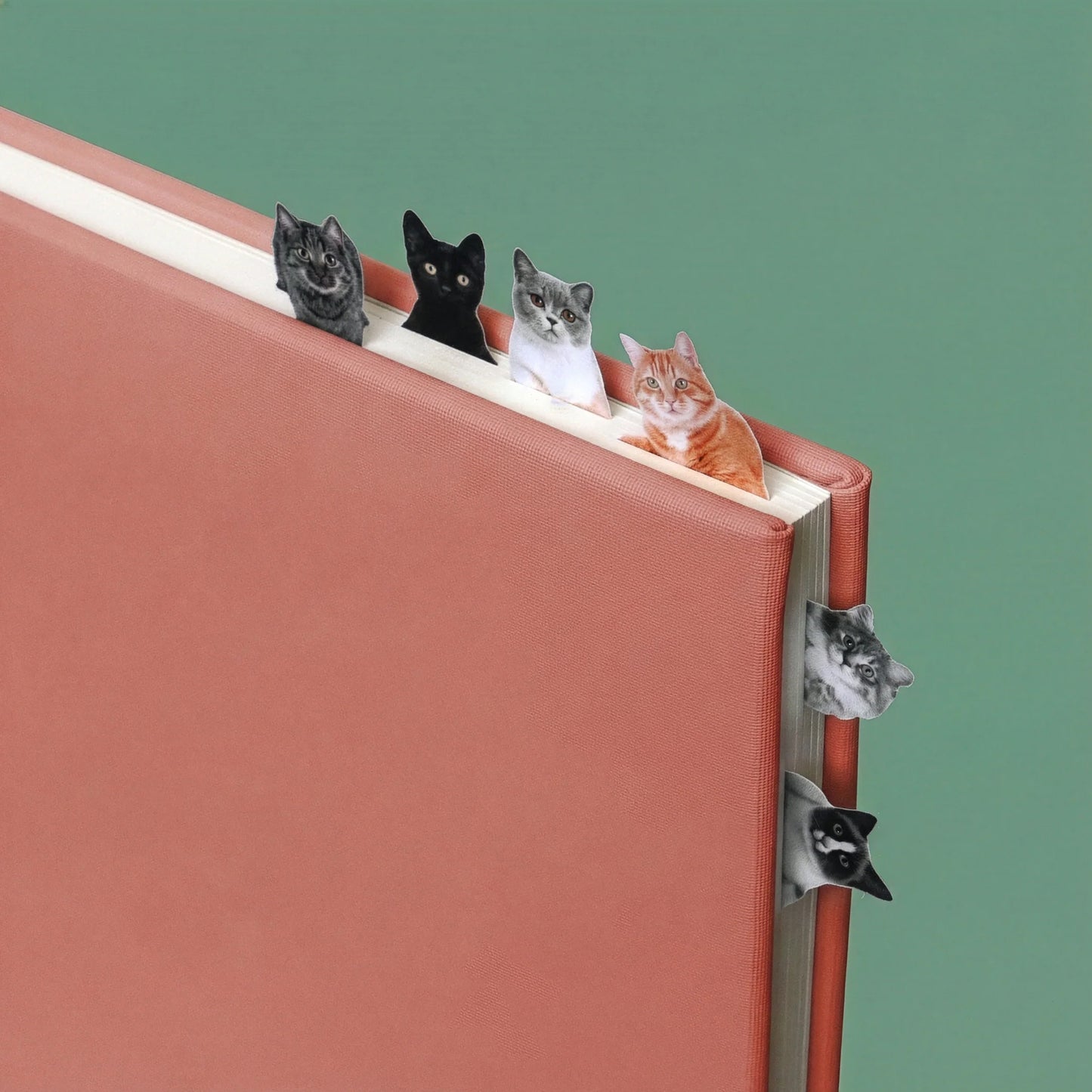 Pikkii Page Markers Cat