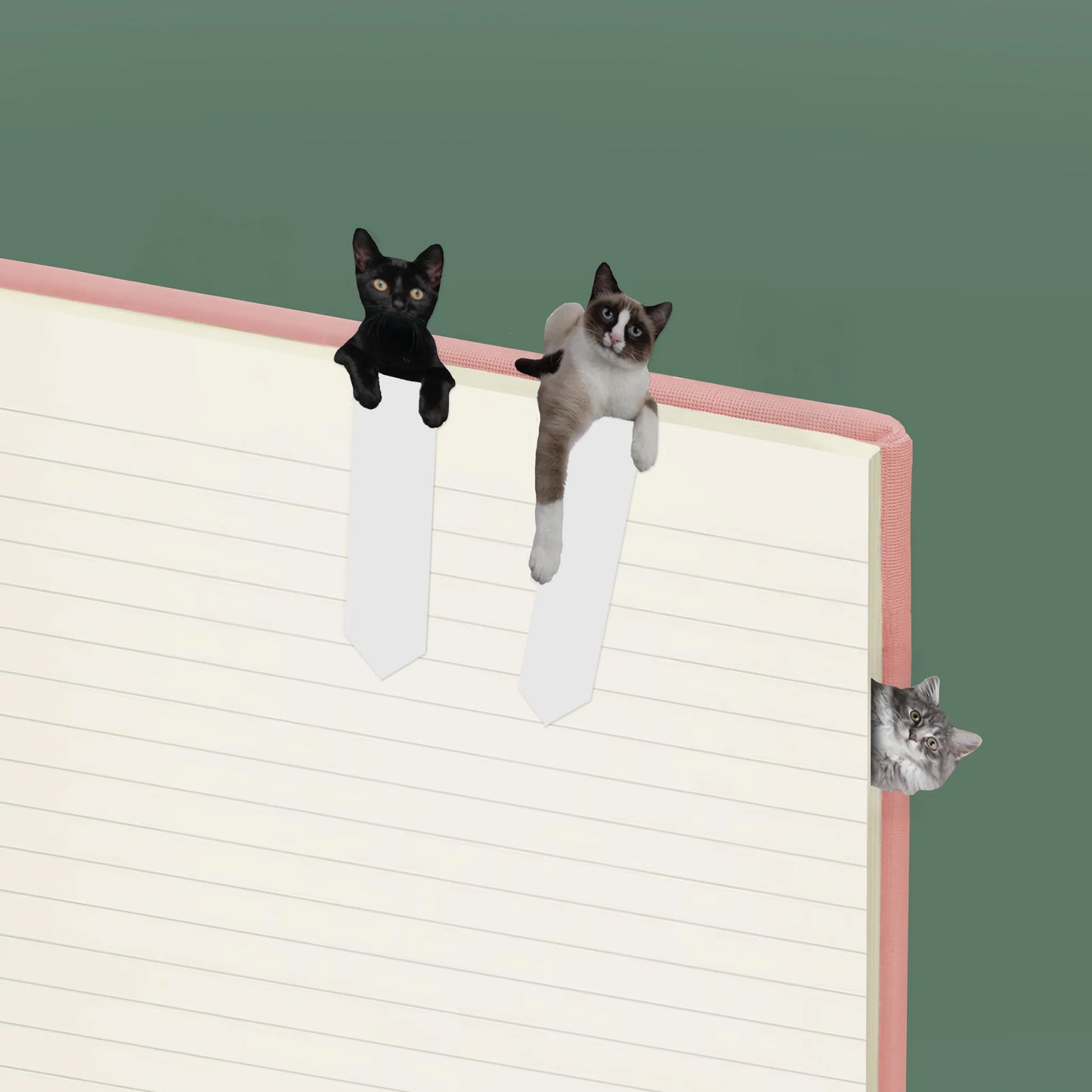 Pikkii Page Markers Cat