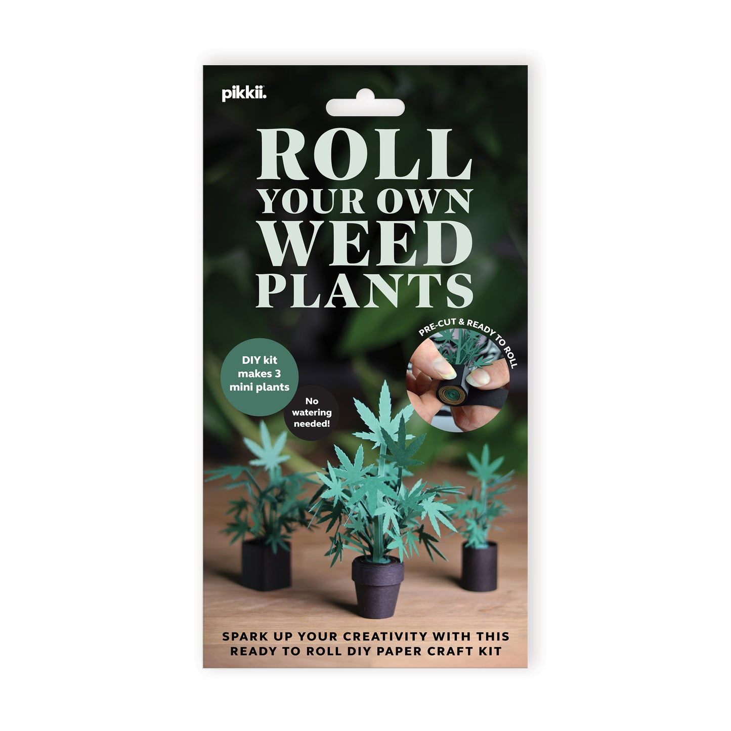 Pikkii Paper Weed Plants
