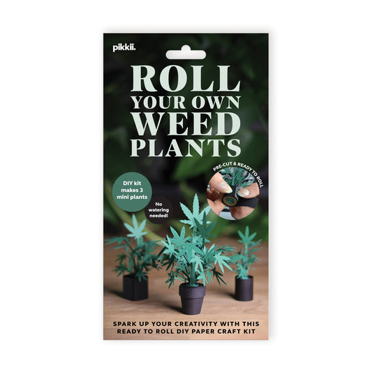 Pikkii Paper Weed Plants