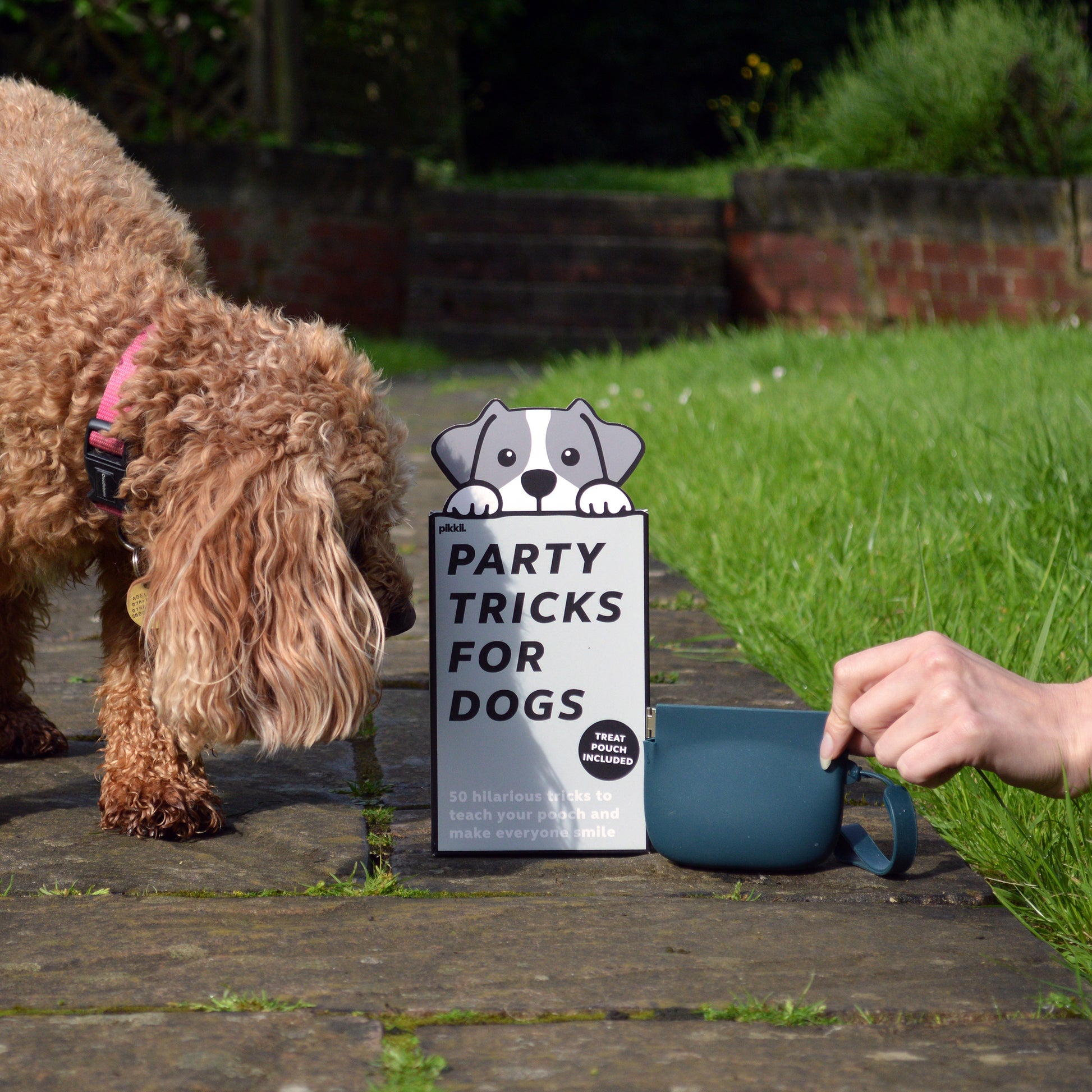 Pikkii Party Tricks for Dogs