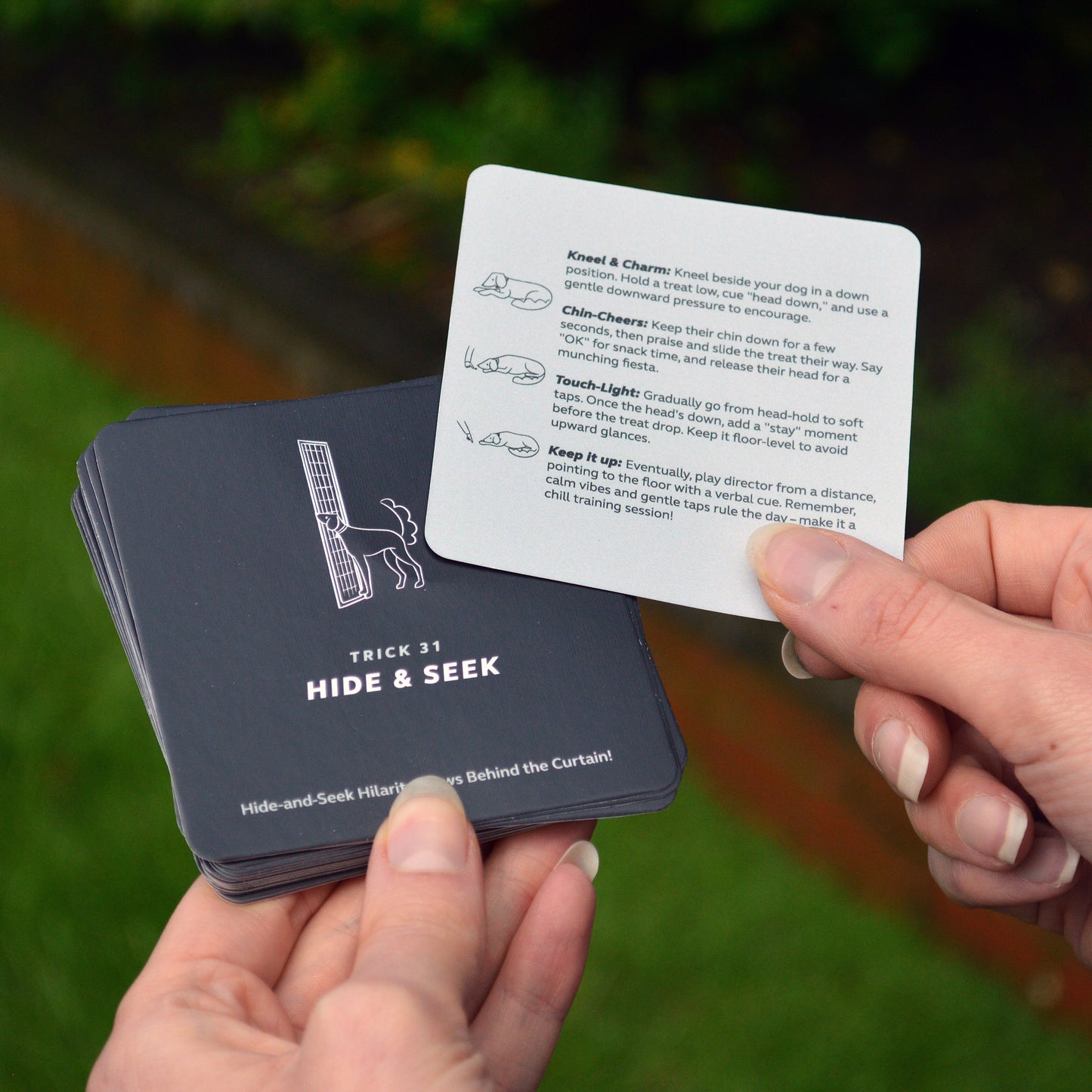 Pikkii Party Tricks for Dogs