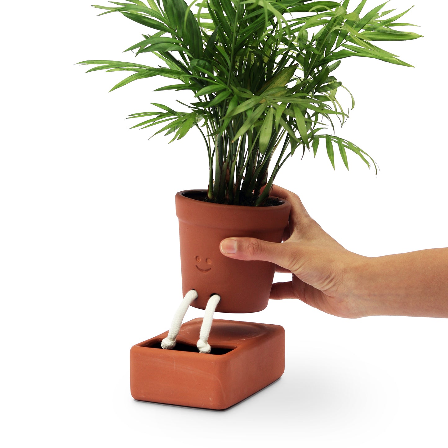 Pikkii Planter Self Care