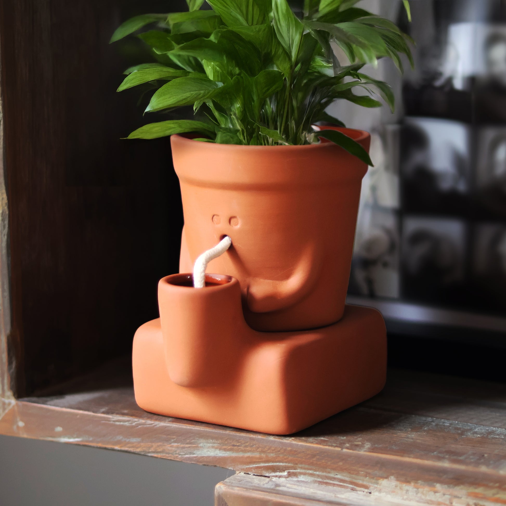 Pikkii Planter Thirsty