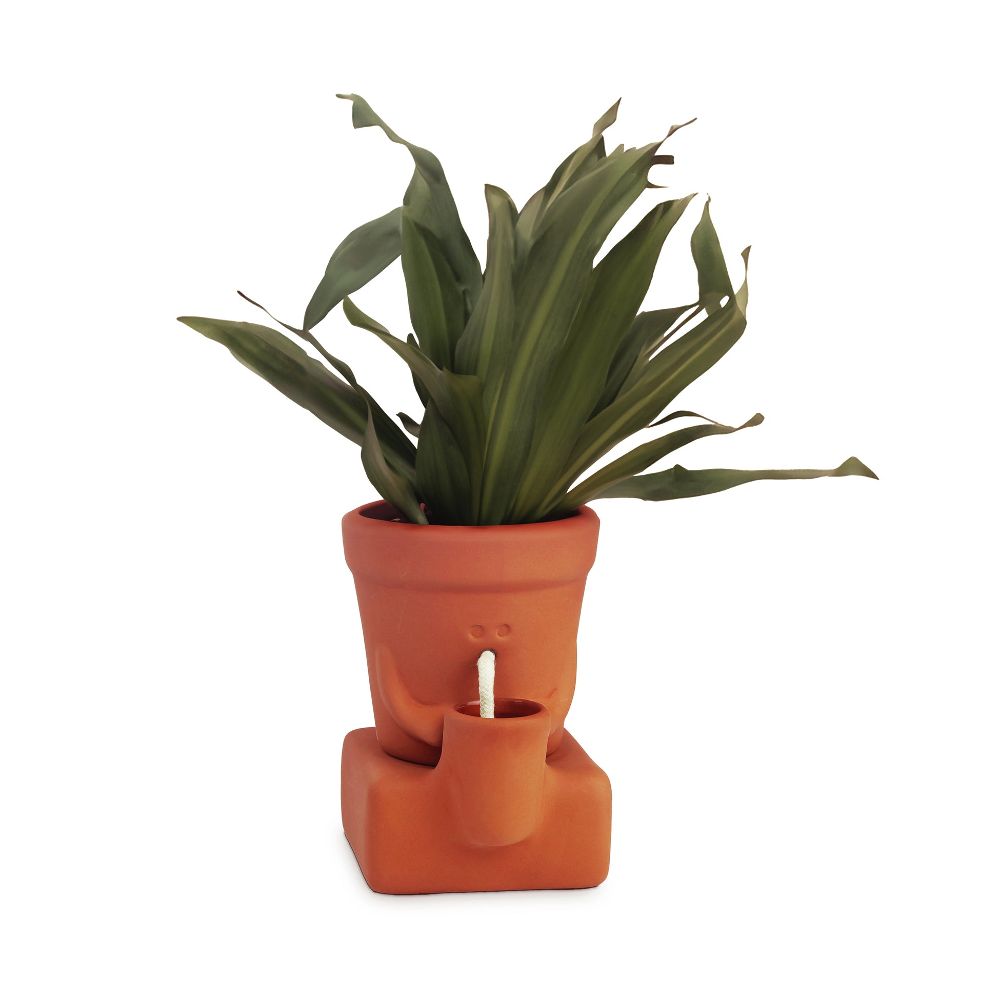 Pikkii Planter Thirsty