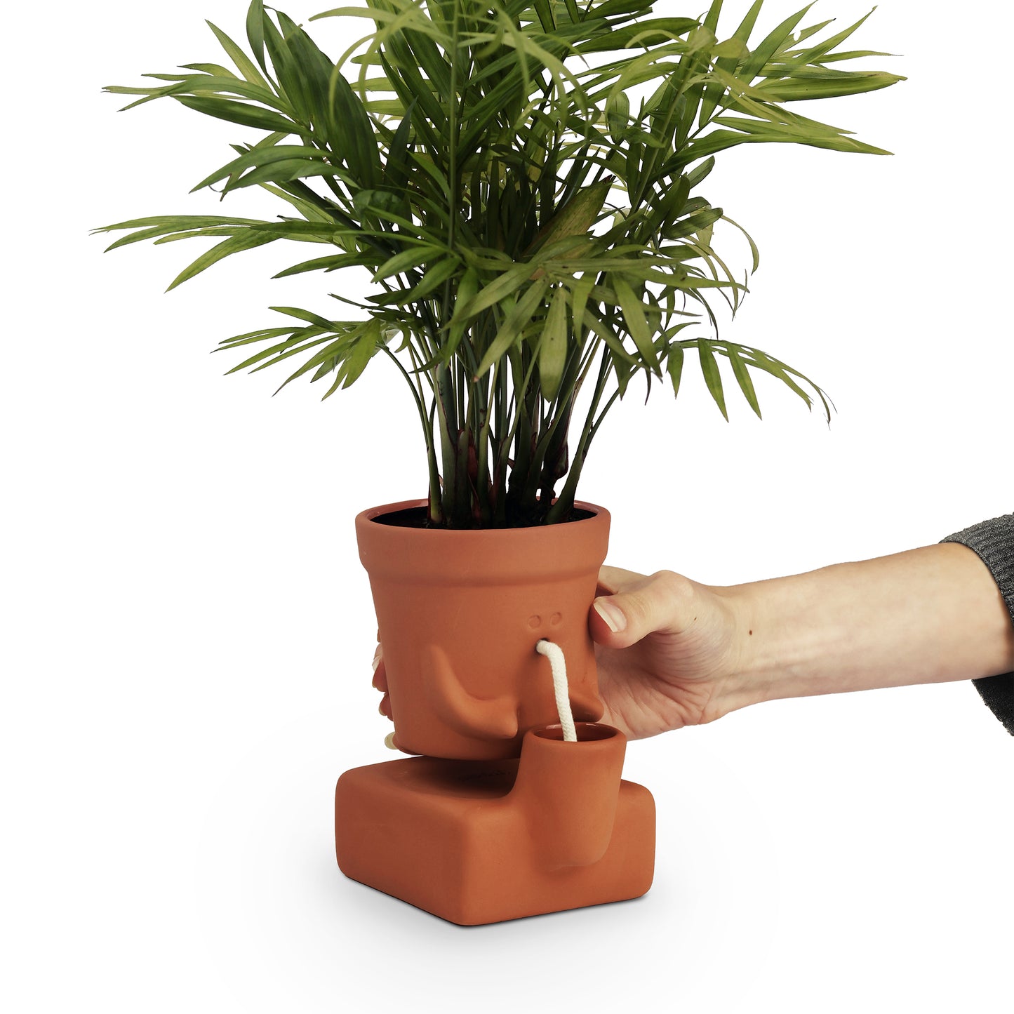 Pikkii Planter Thirsty