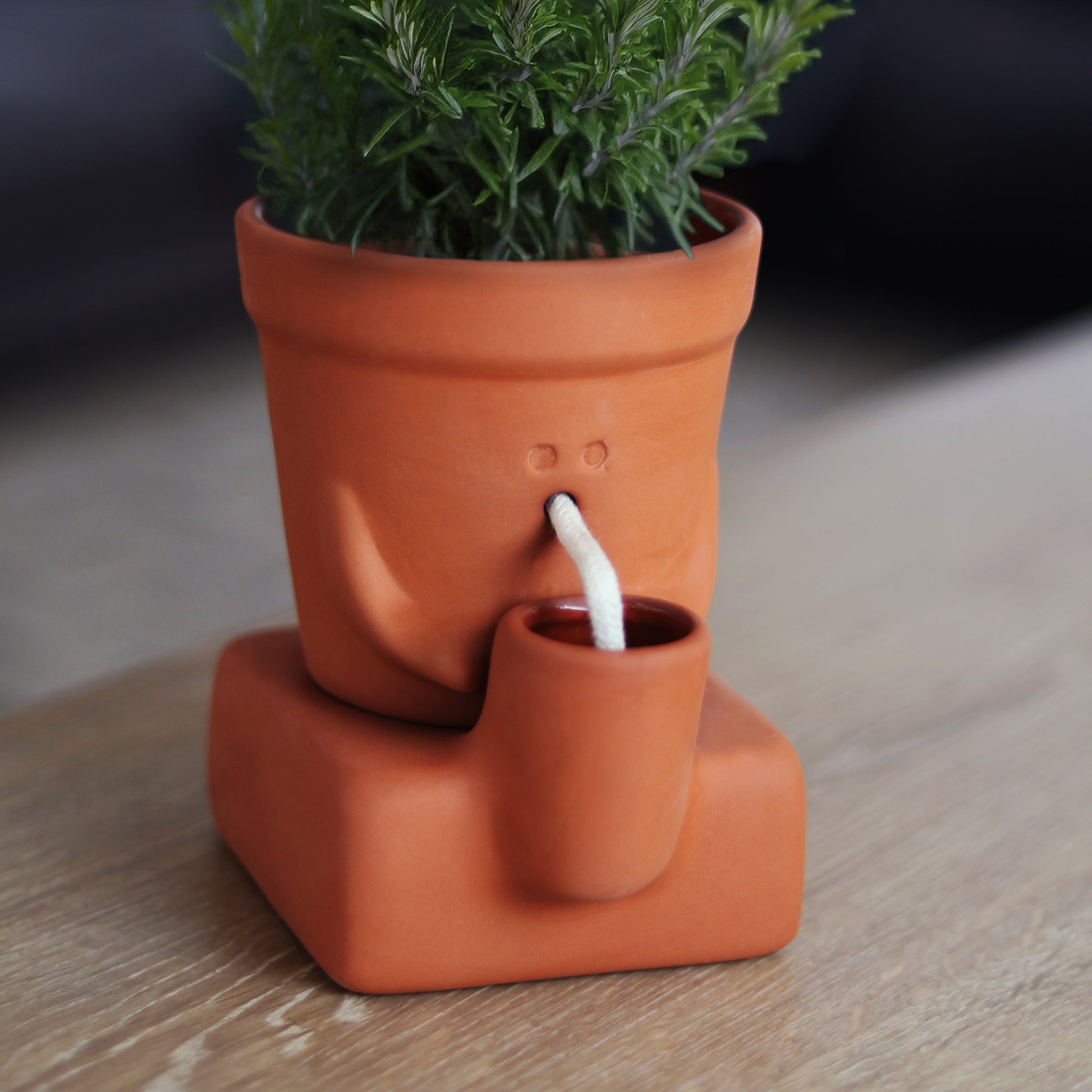 Pikkii Planter Thirsty