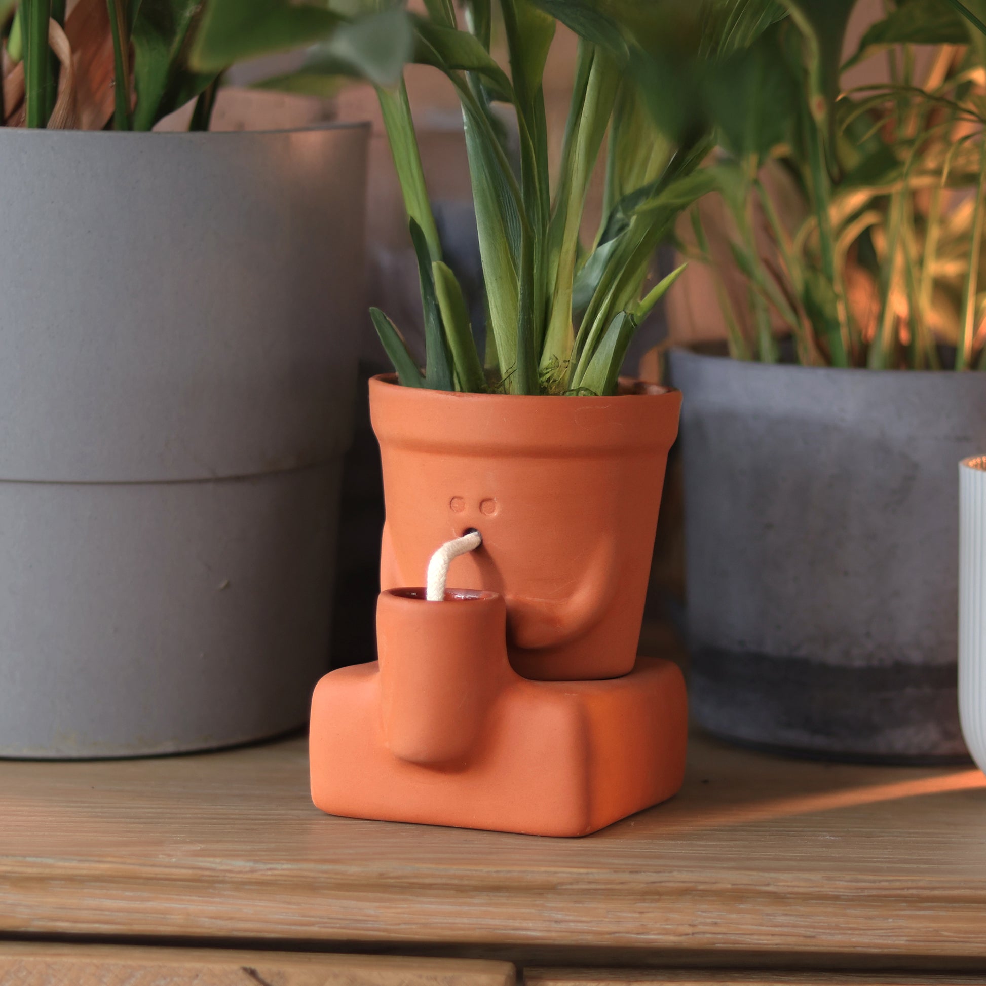 Pikkii Planter Thirsty