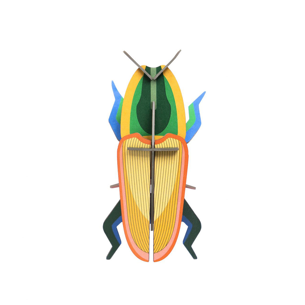 Wall Art Beetles (B7) Madagascar Beetle