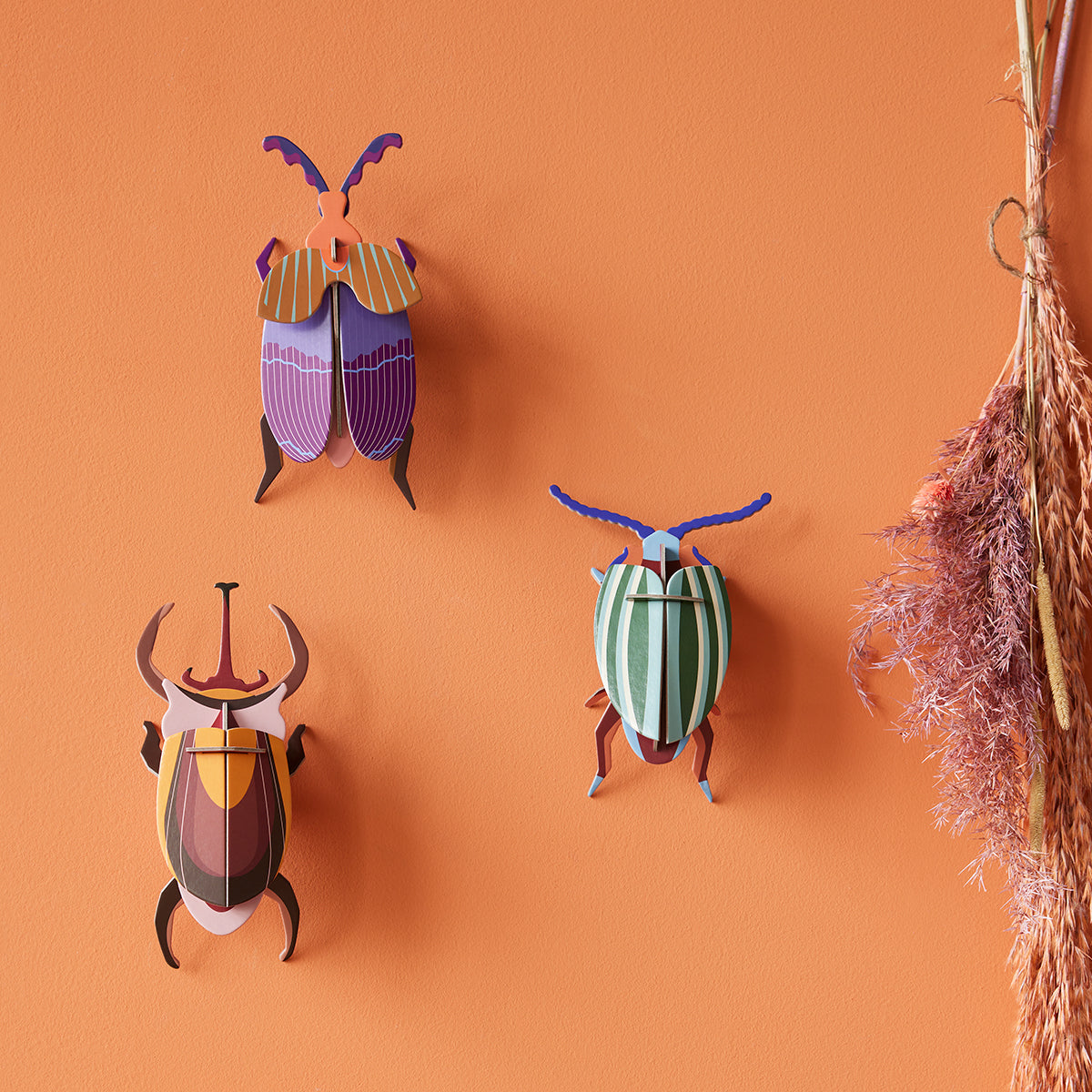 Wall Art Beetles (B7) Rainbow Leaf Beetle