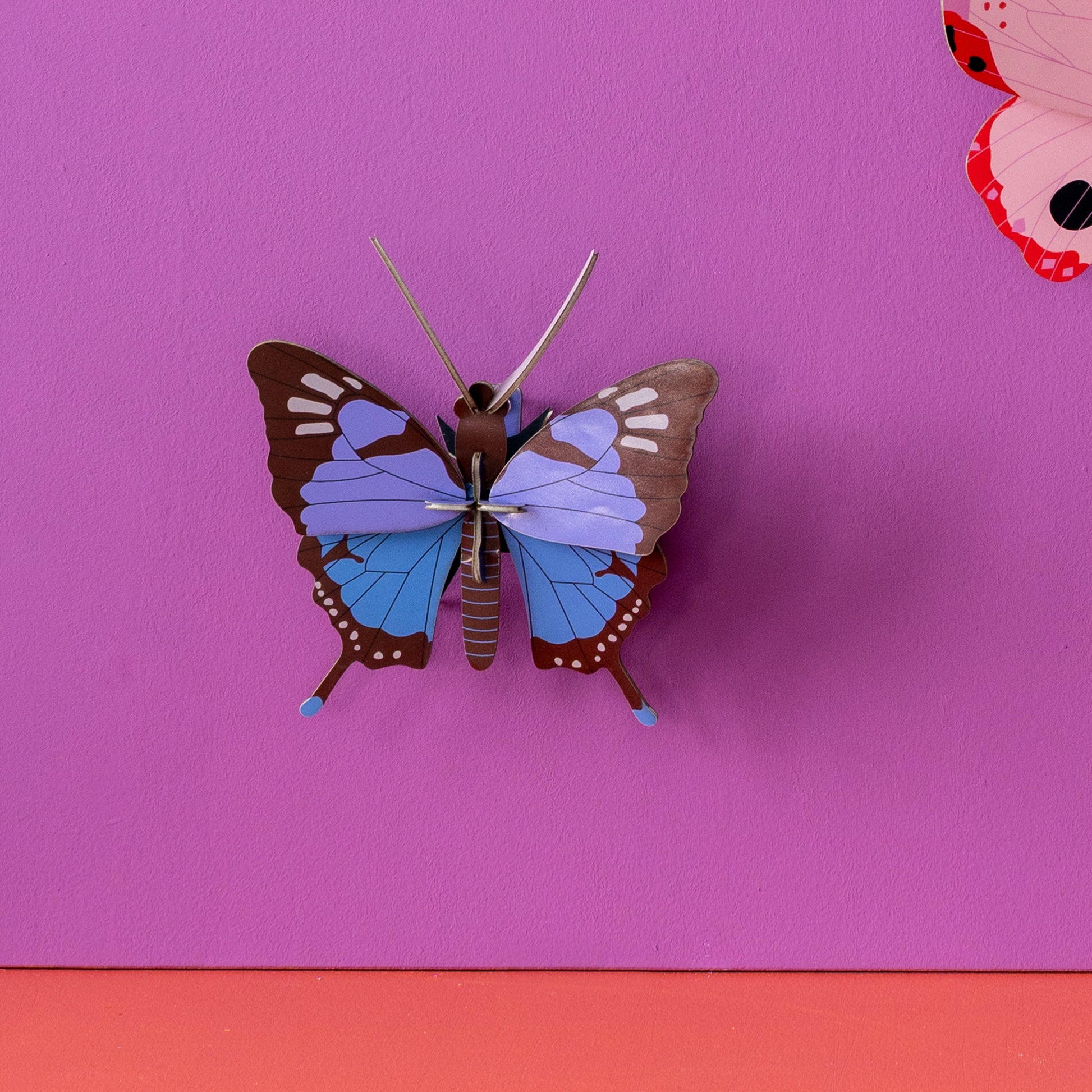 Studio Roof Wall Art Butterflies (B7) Crysalus